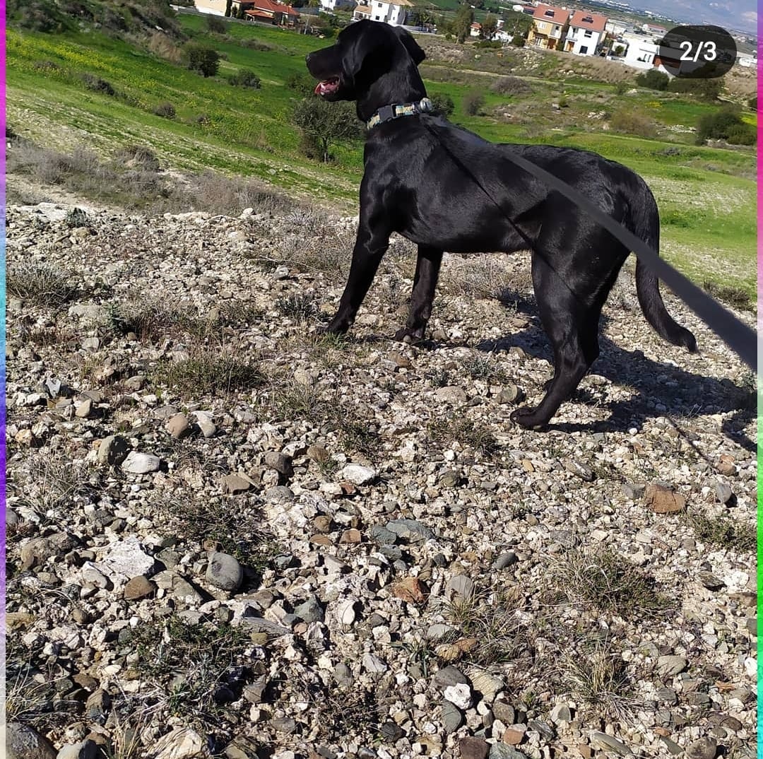 Screenshot_20221230_204654_Instagram