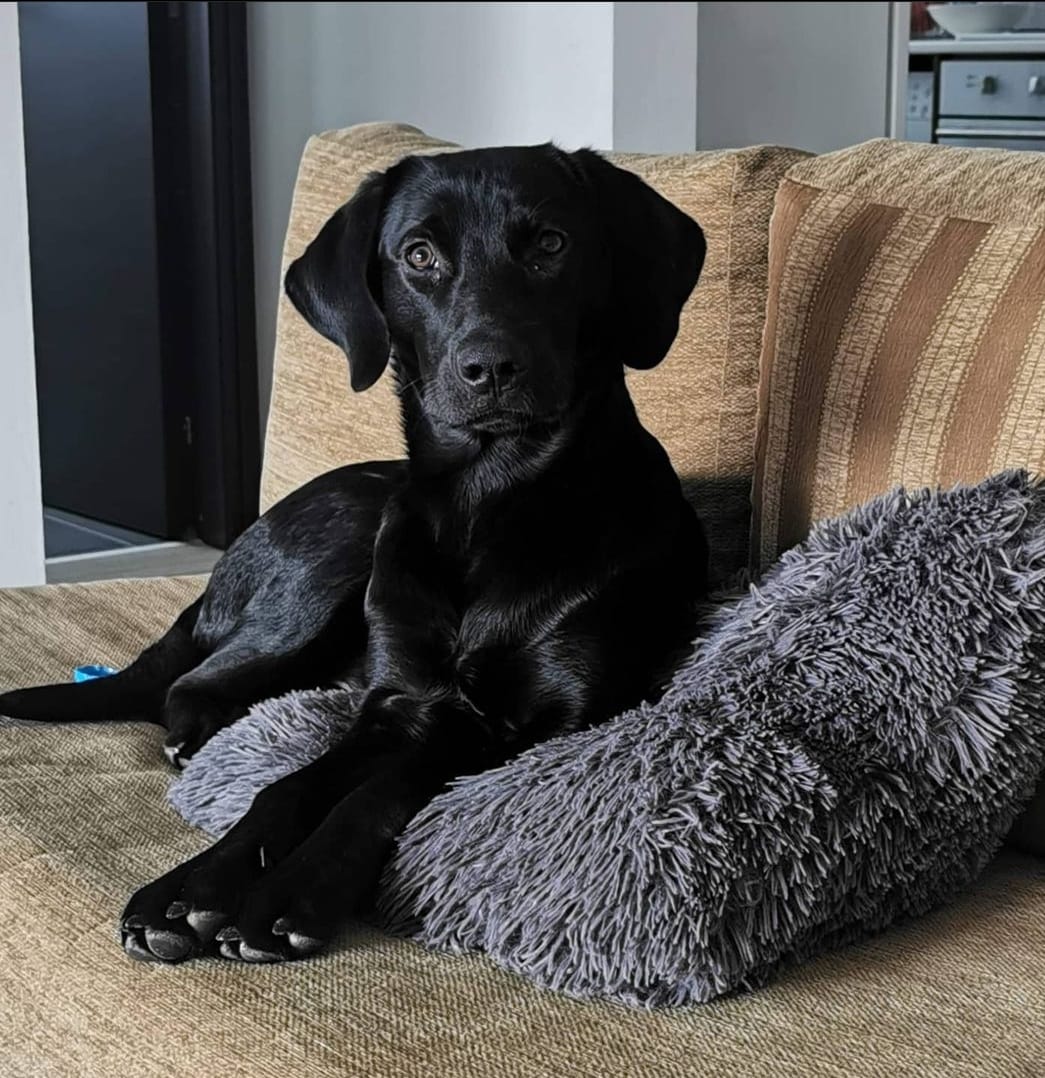 Screenshot_20221230_204733_Instagram