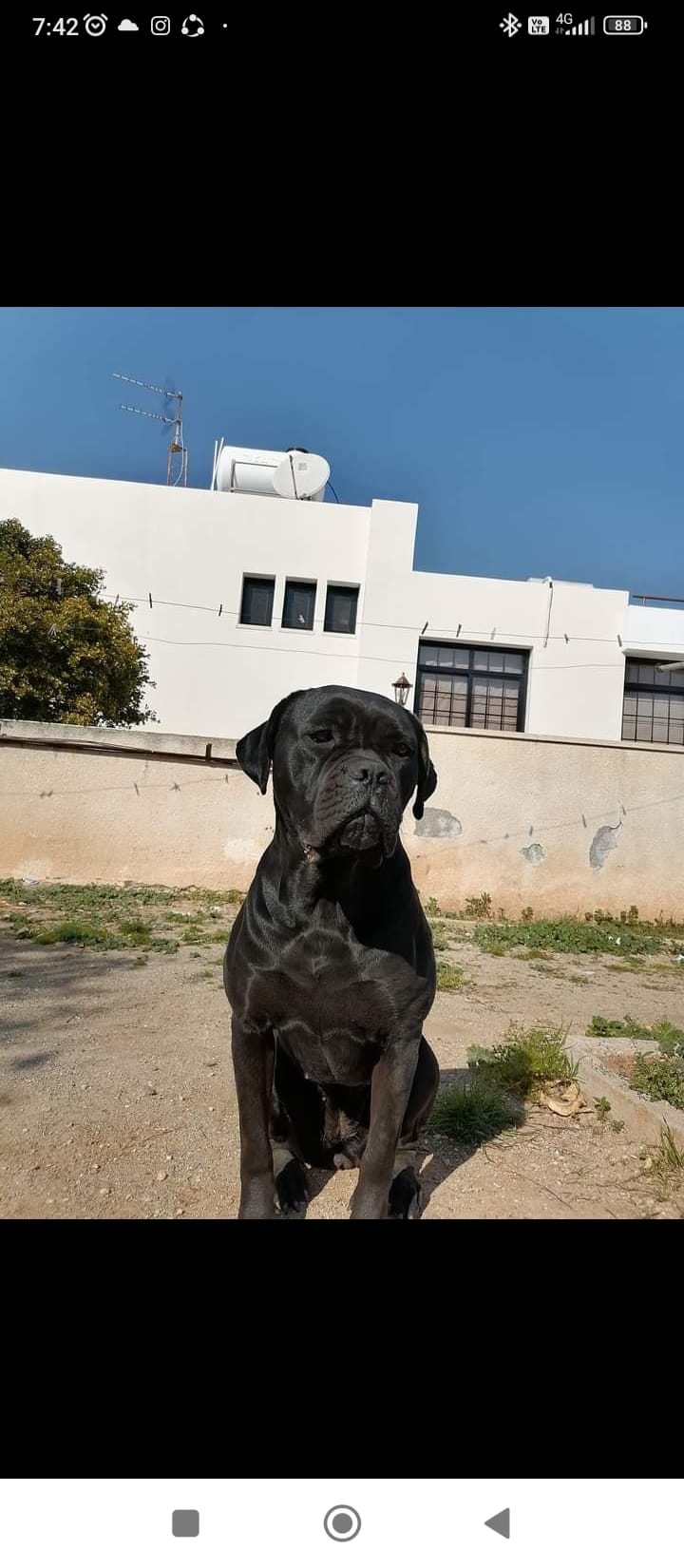 Screenshot_2023-02-27-07-42-46-394_com.facebook.katana