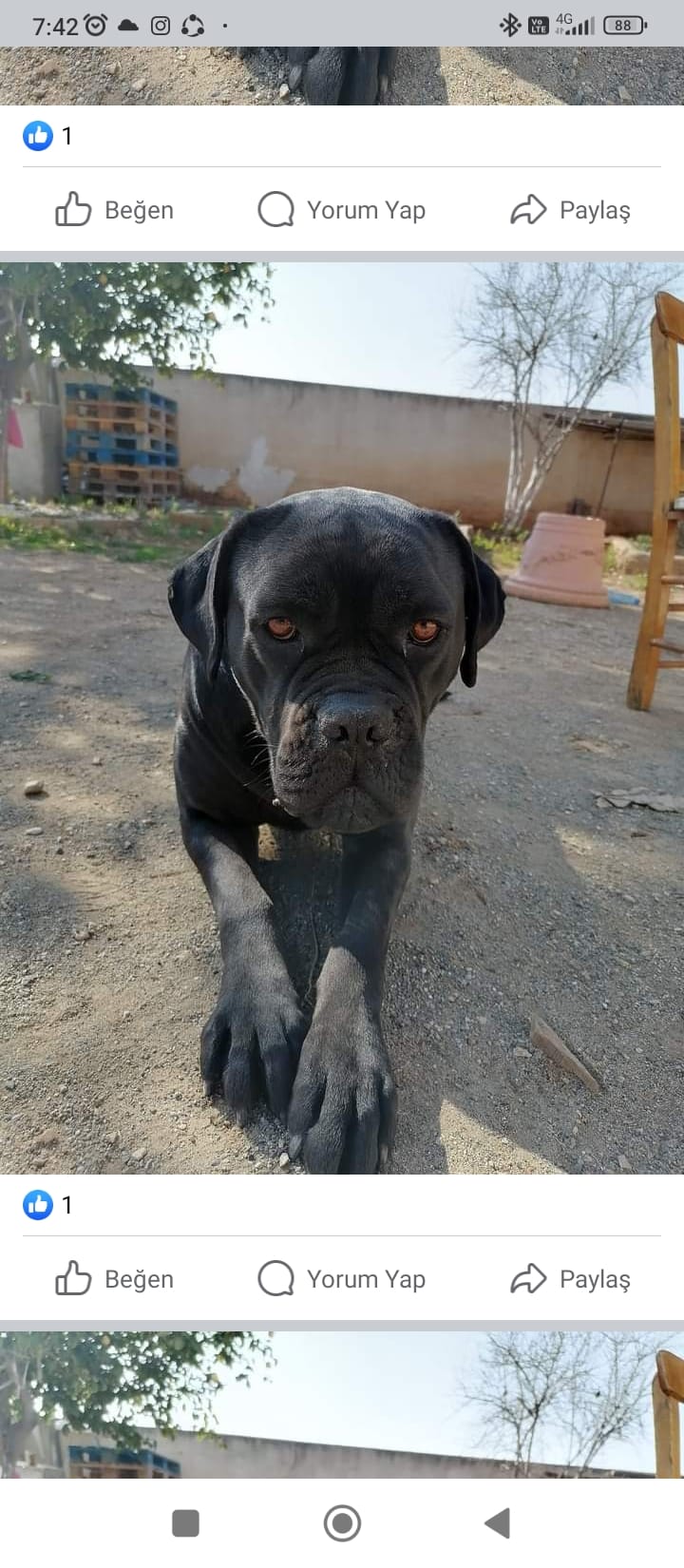 Screenshot_2023-02-27-07-42-54-333_com.facebook.katana