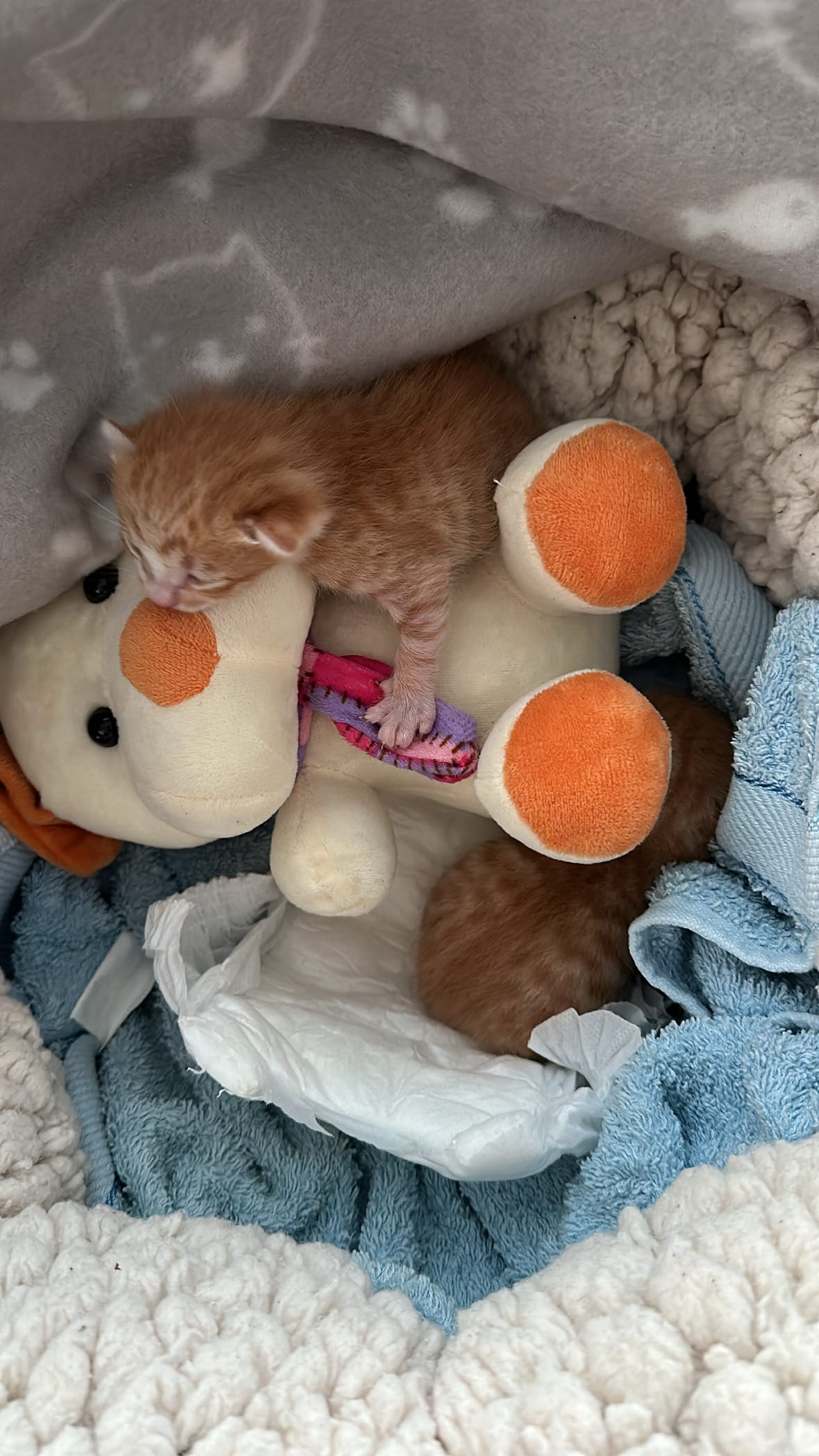 61C46C65-AD02-4828-92BF-DD73E4C98CBB