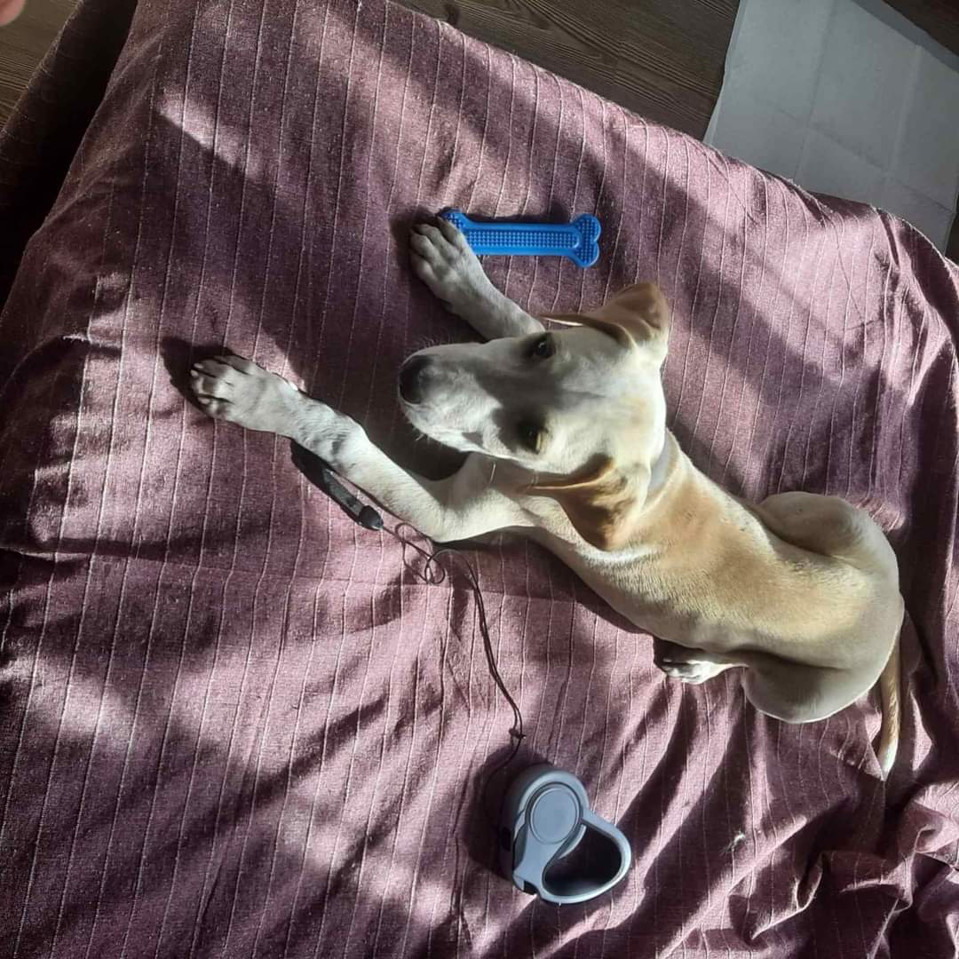 FB_IMG_1680544710450