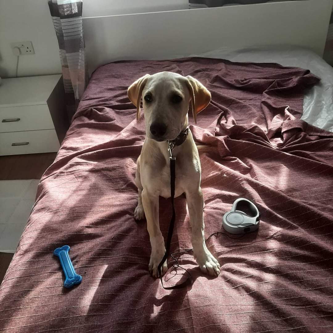 FB_IMG_1680544716167