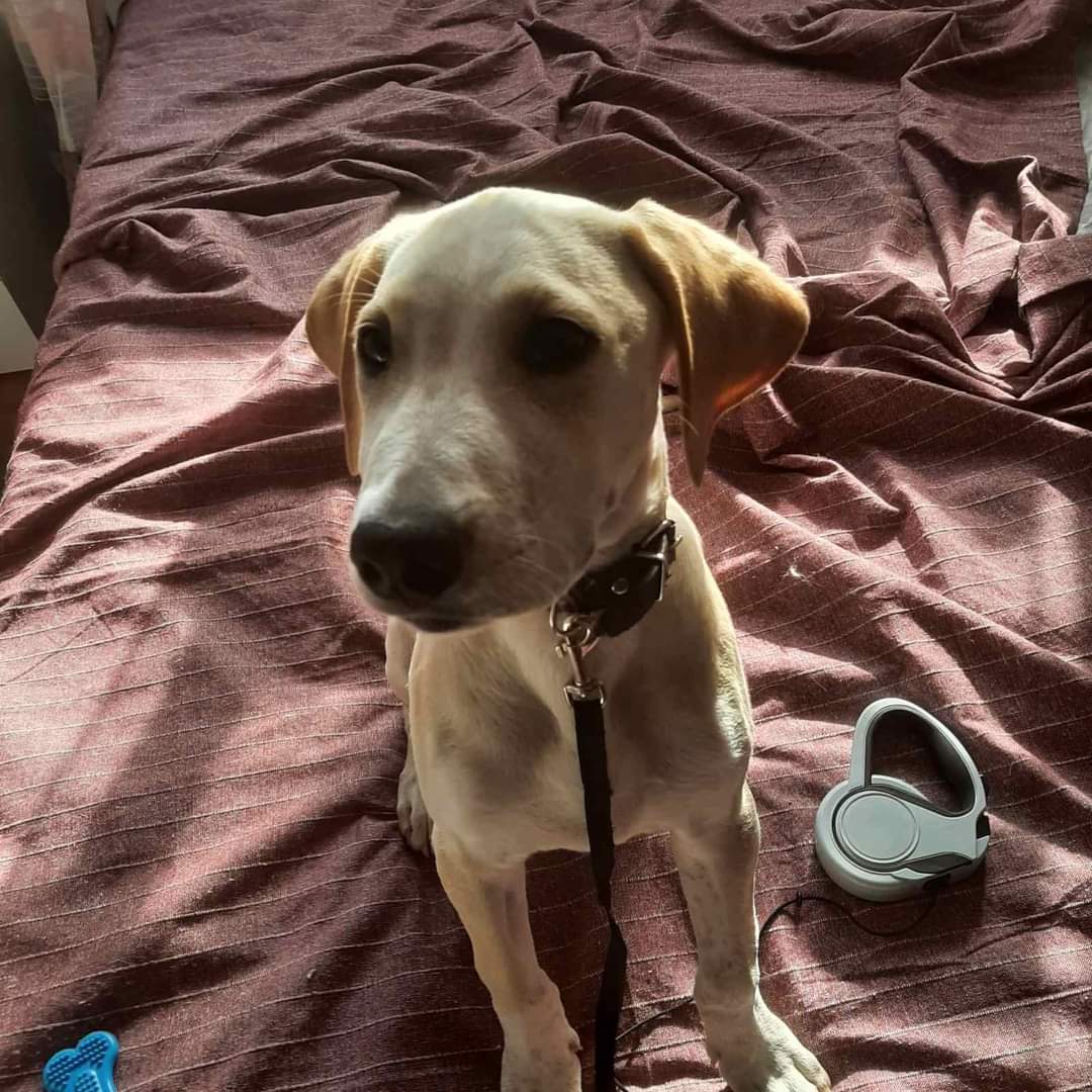 FB_IMG_1680544722333