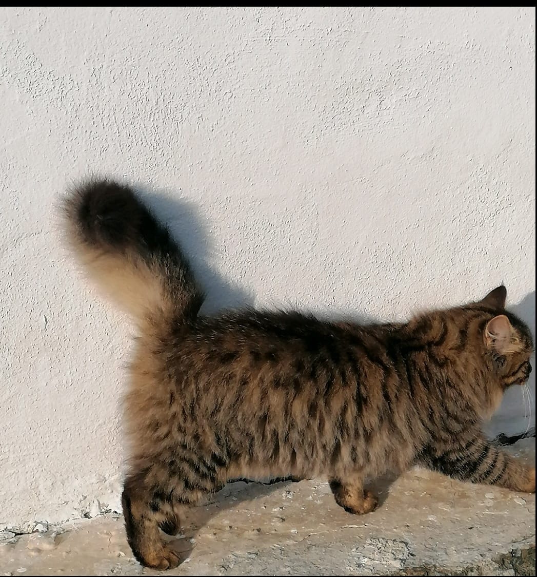 inbound2546694329491979506