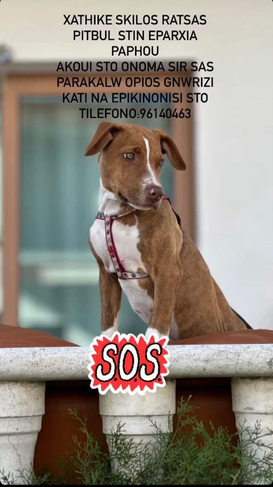 inbound2849073276546120231