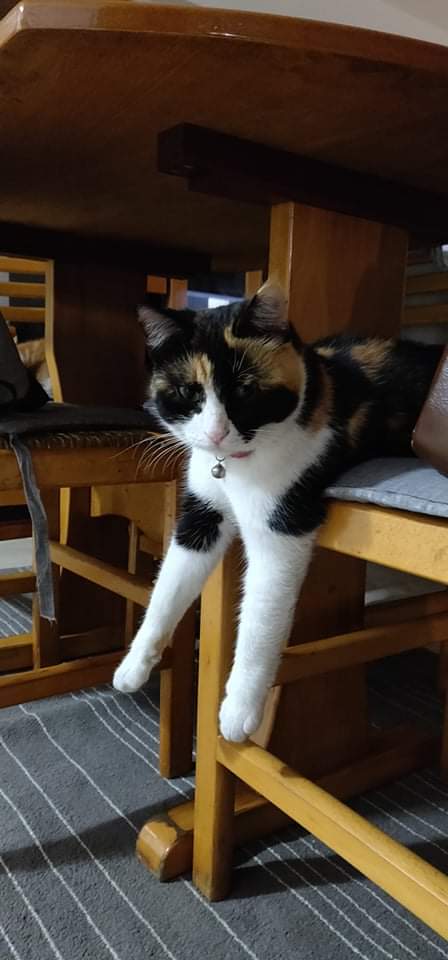 received_627554078443085