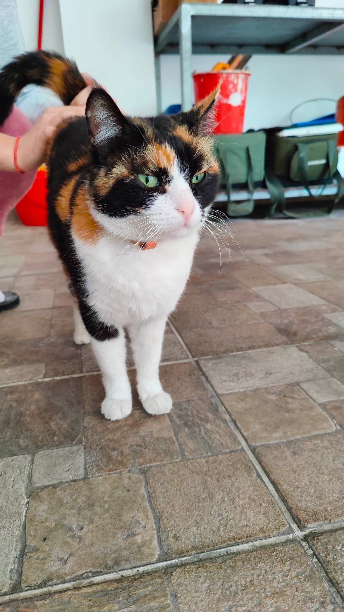 received_758794655635259