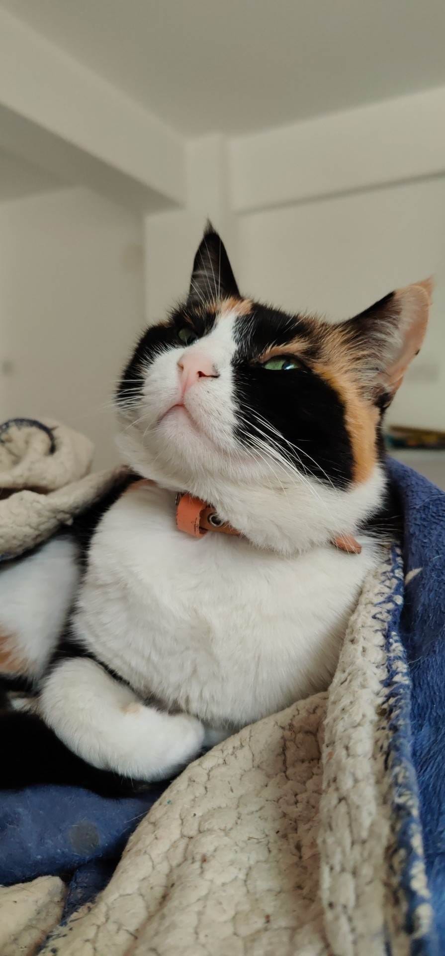 received_952342632468356