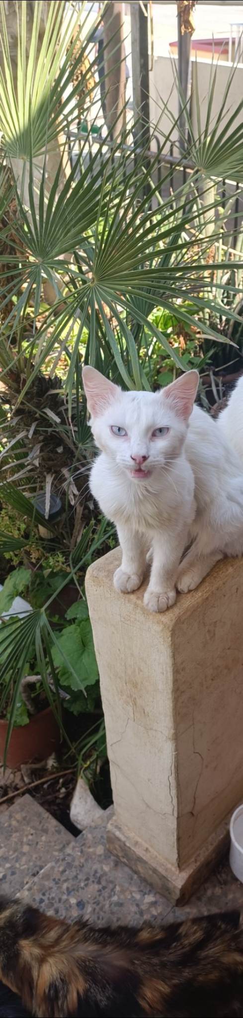 received_960775555079504