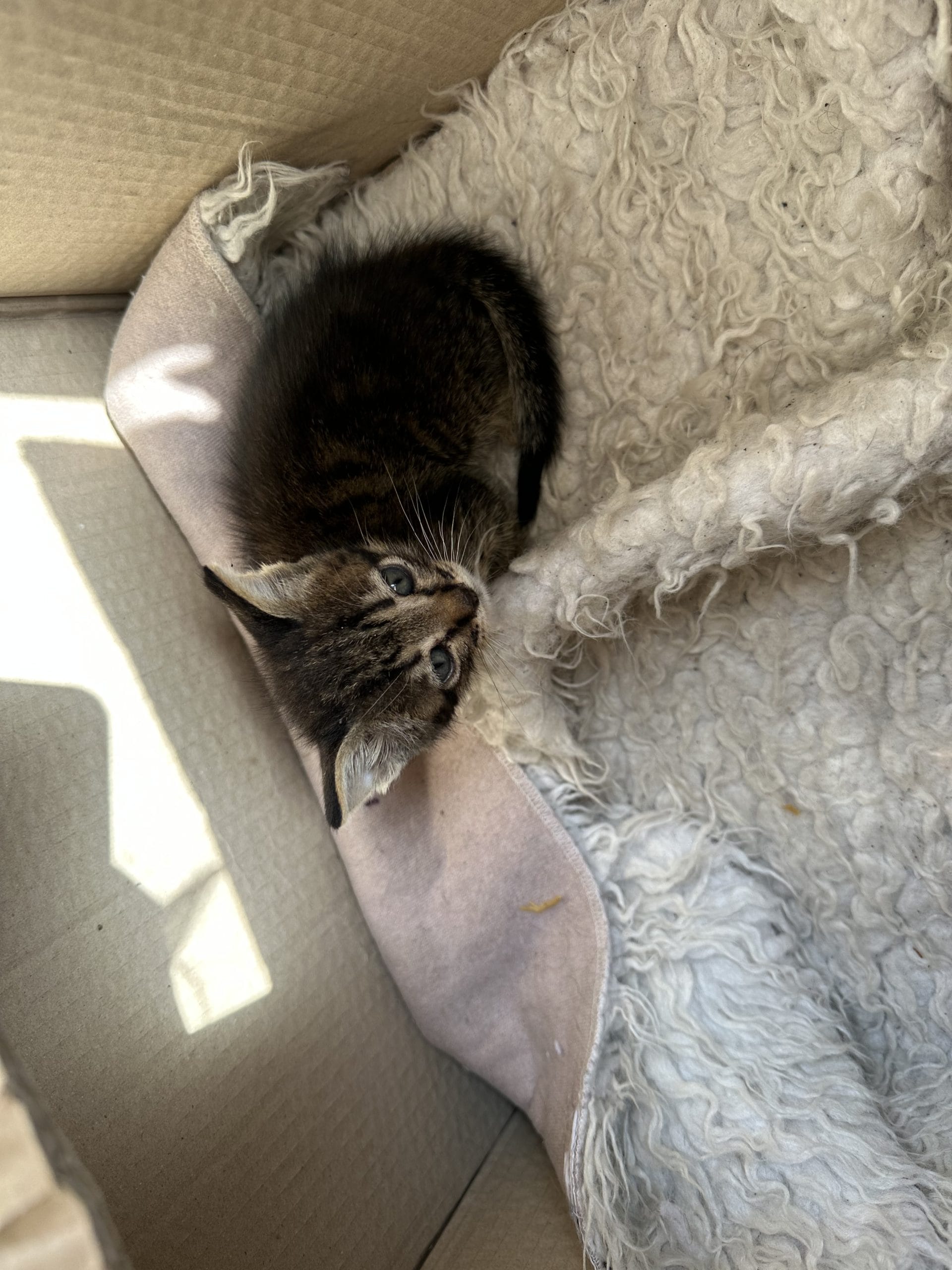 123CDA1A-9D03-4F07-8686-EECA9D953B6B