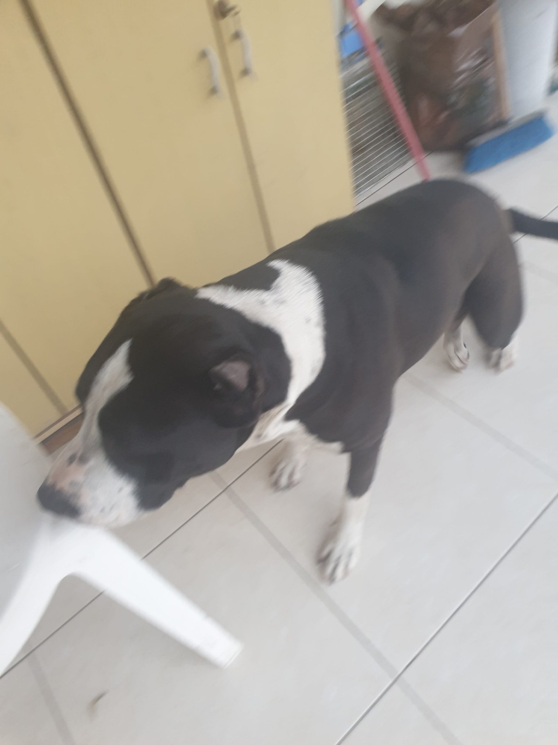 20230419_180627-scaled-1