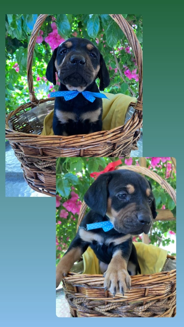 24CA2B9B-AAC8-460B-BD1F-7F88CB190014