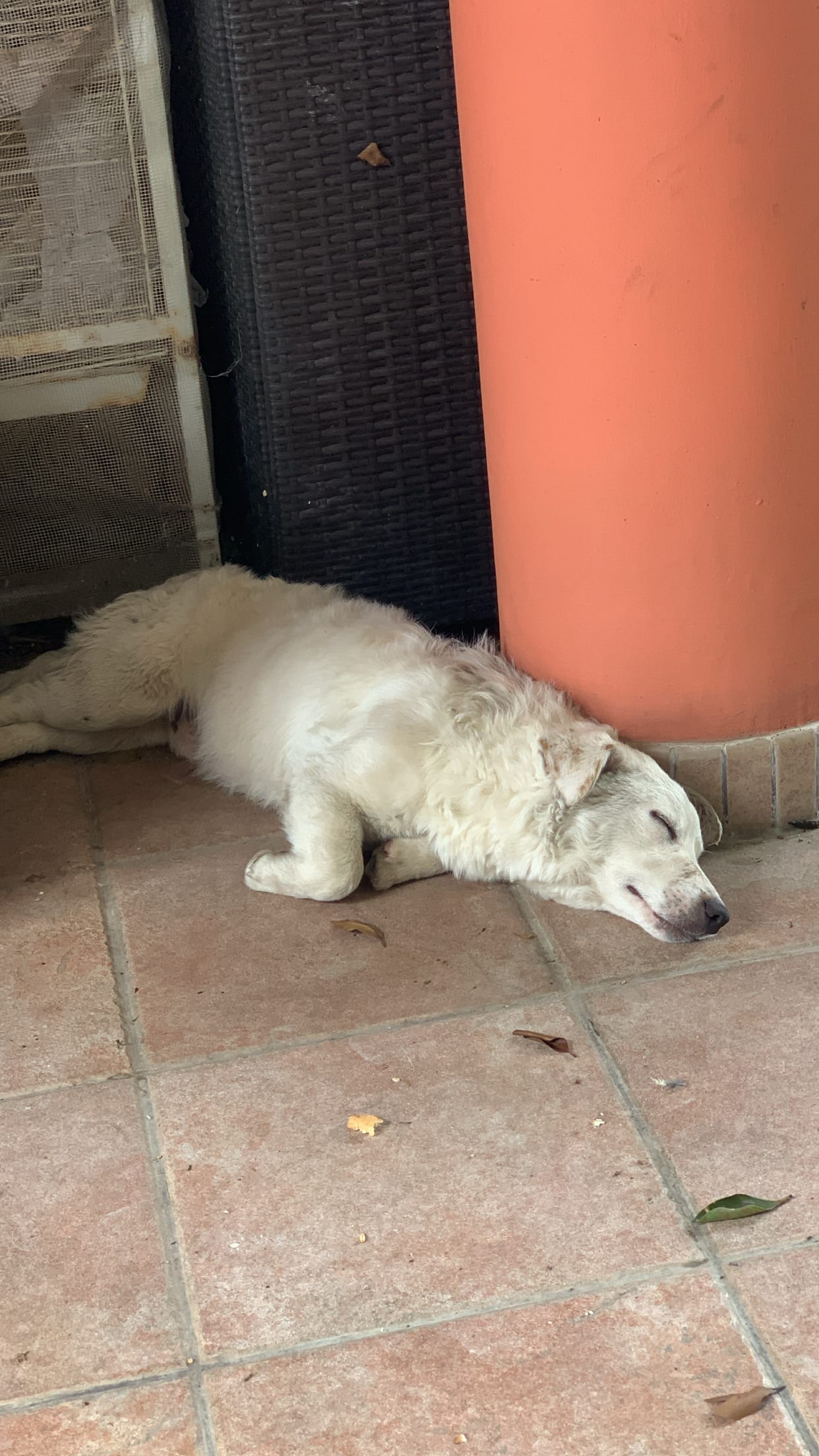 440D61BA-B296-4AA6-A90F-8D3EDDA1C9F6