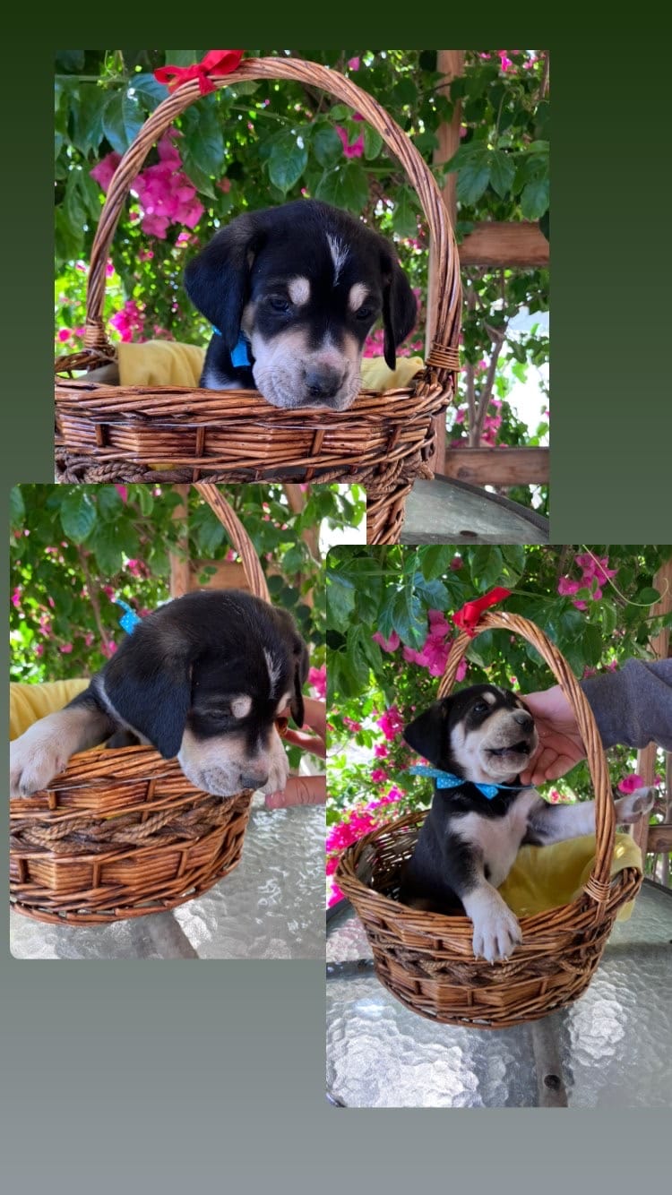 7052A979-15F3-4DD1-9B8F-BBABDFDD2070