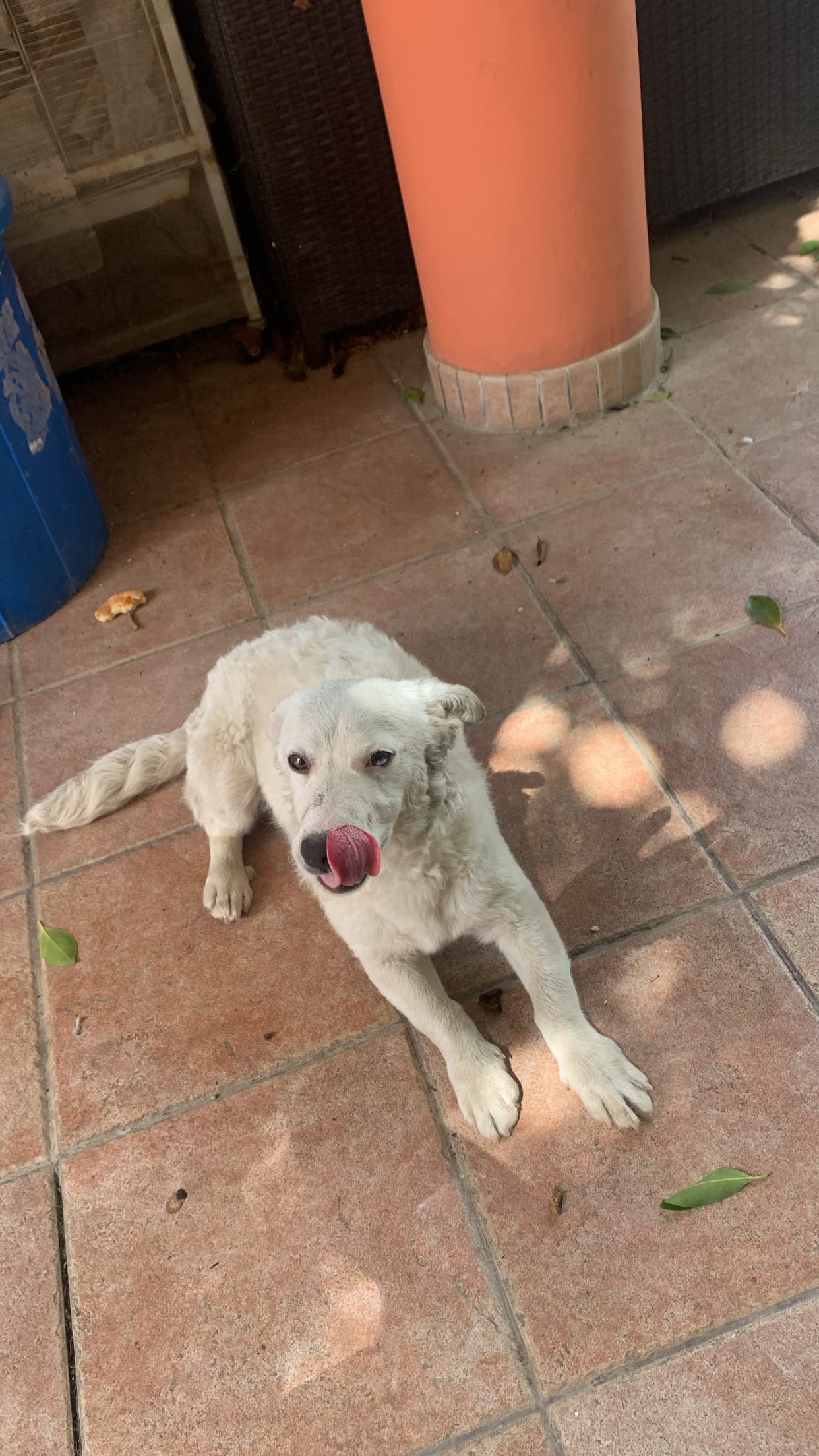 8344ADF6-117B-4709-9375-3FD4C51CAD2C