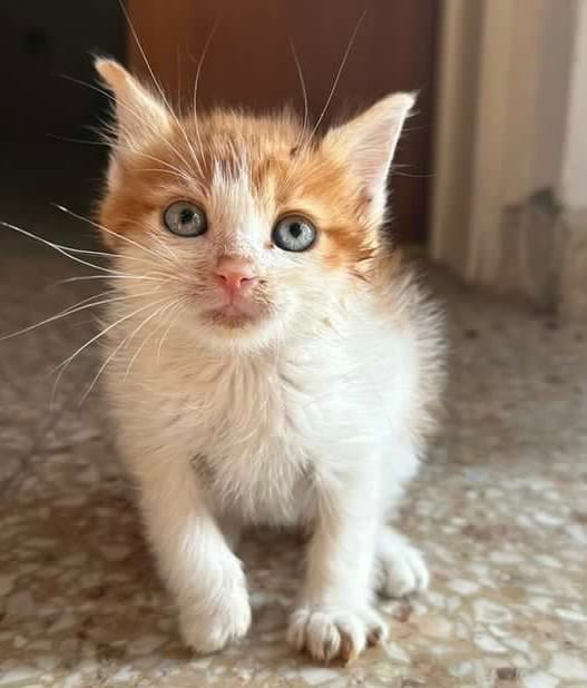 B125D093-BA4E-4630-8675-0649AFDD44B6