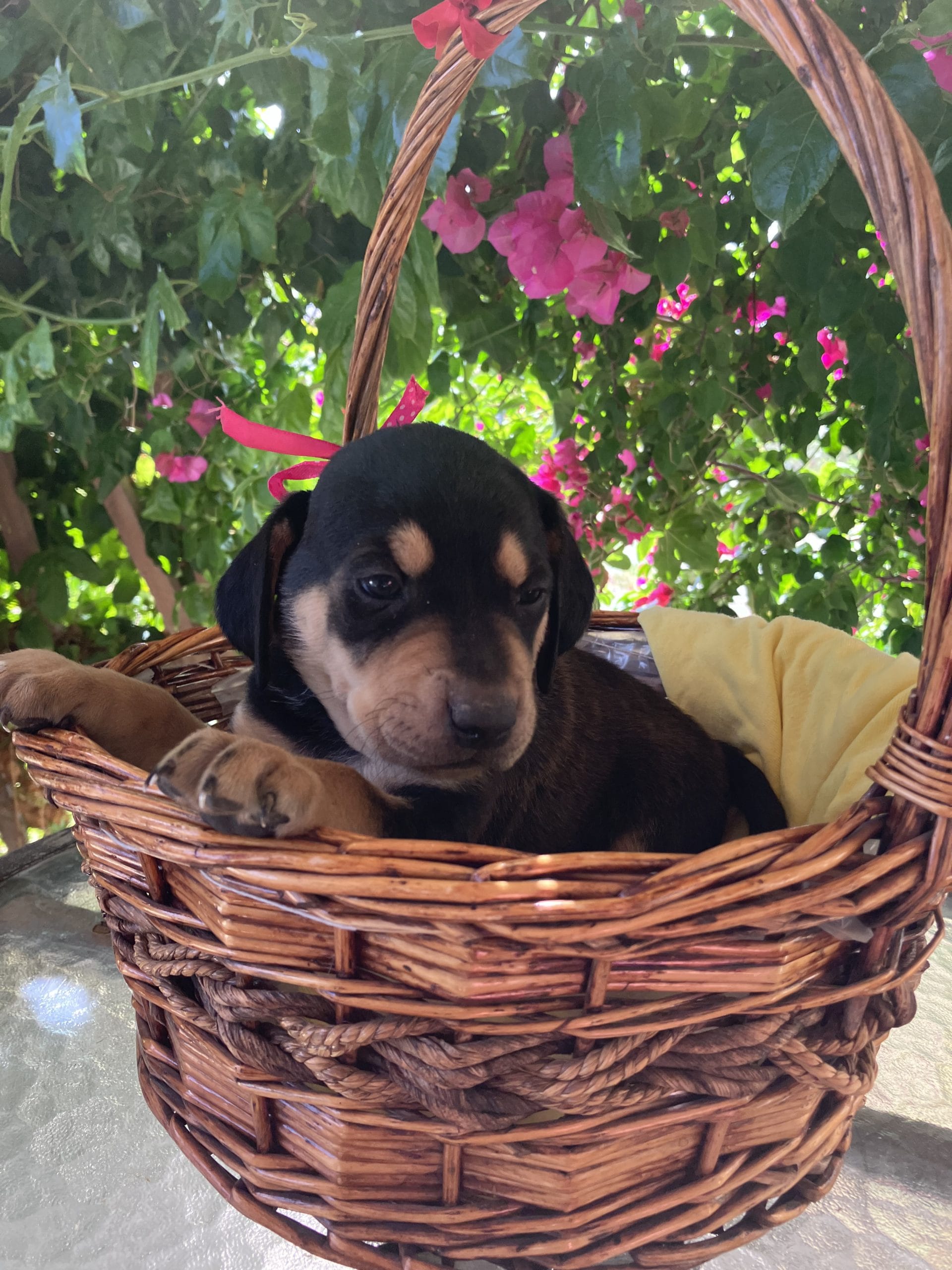 B1EA2713-6196-43E4-A851-8C2FF1F6C279