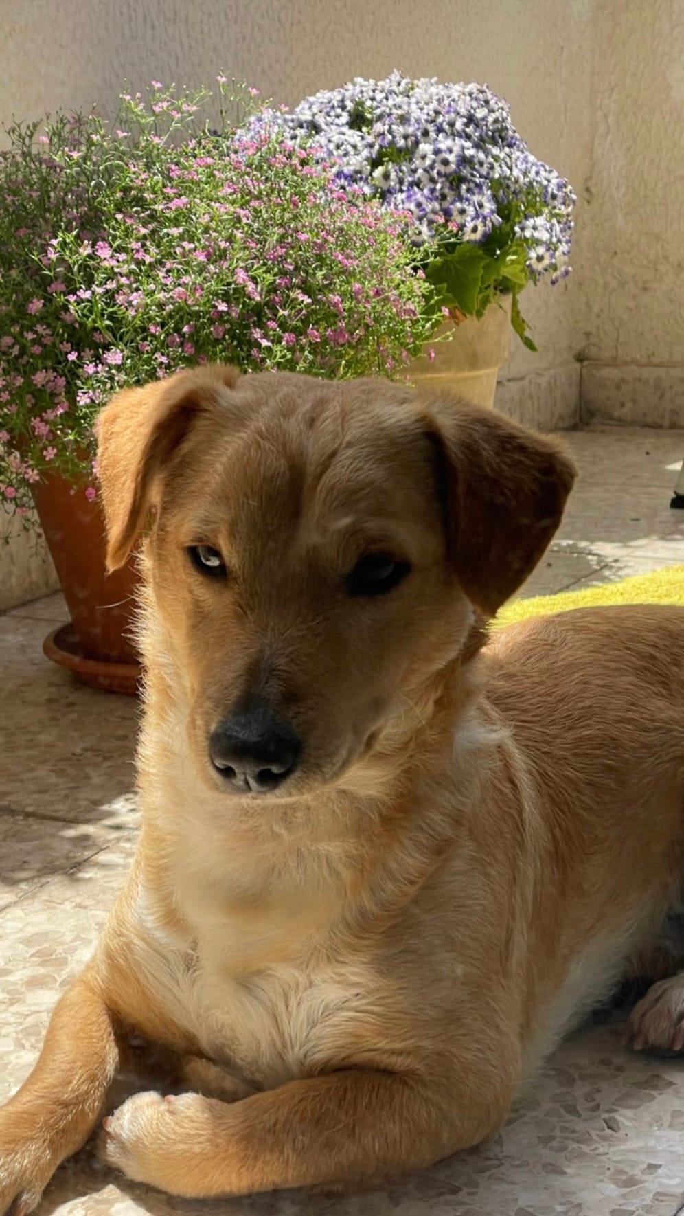 DC0DDFC1-CE01-4C7F-B8B2-611DCC7FA7A9