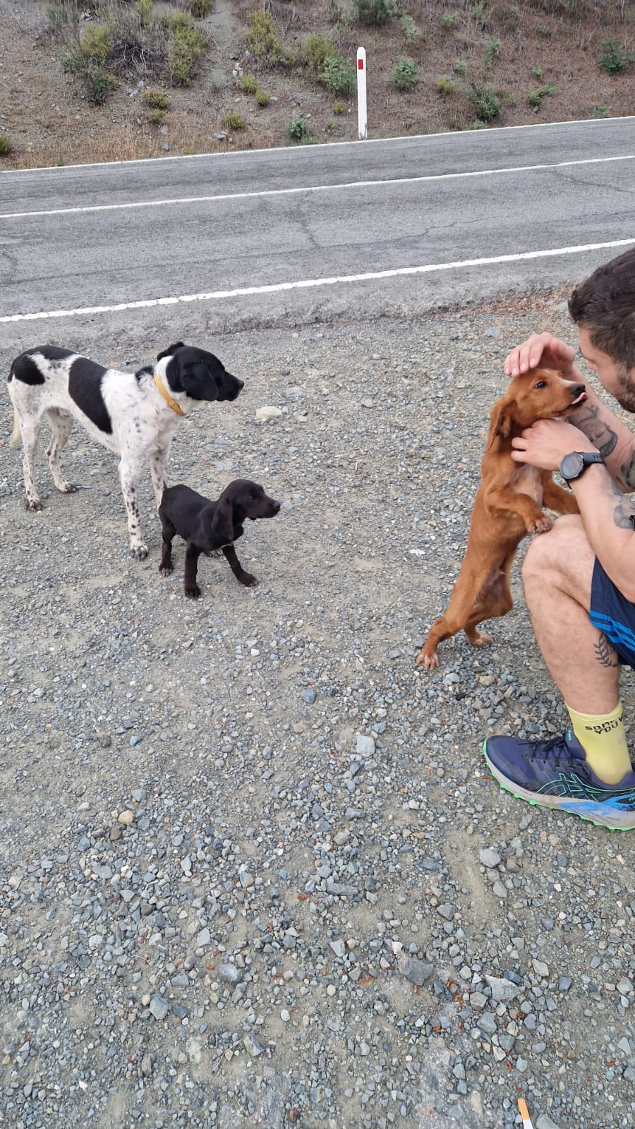 E061292A-B616-4BB3-8348-A451C0A39EFB