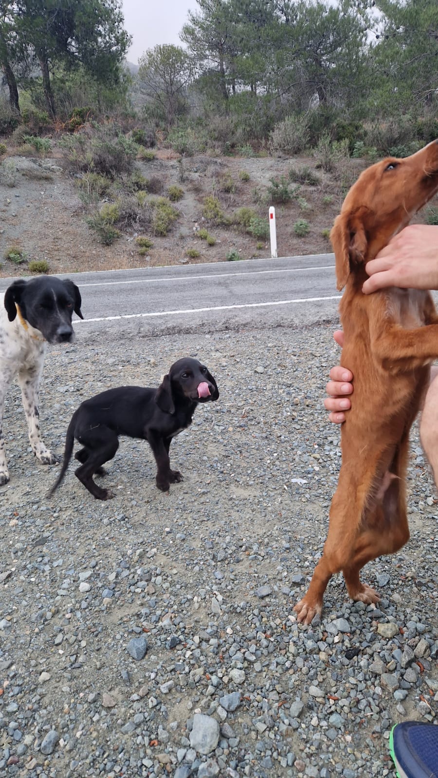 E4CE16DB-12C6-4B16-A41C-4DC319A3F827