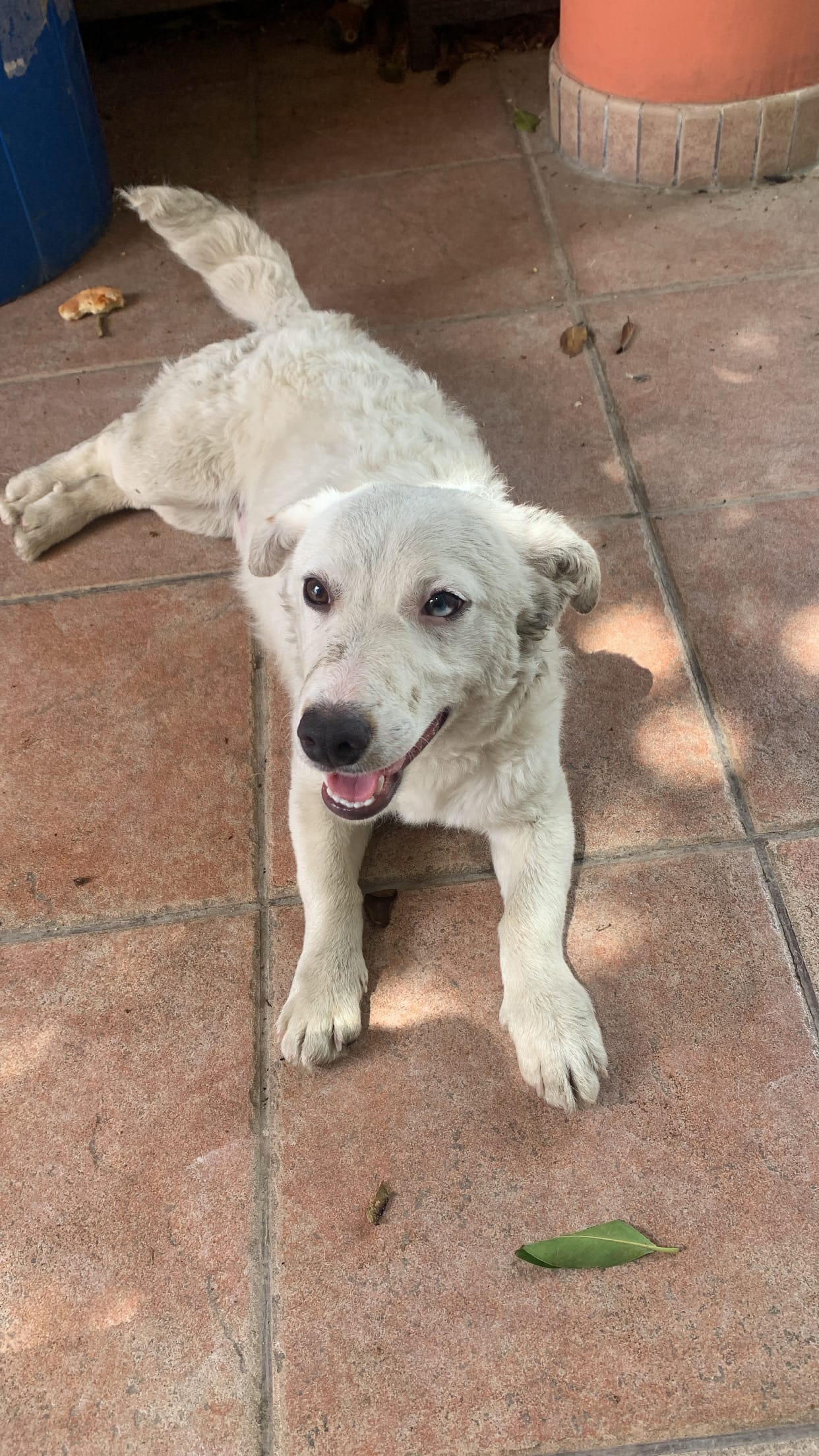 E52606CC-FE81-4461-BBF6-003C5AB88355