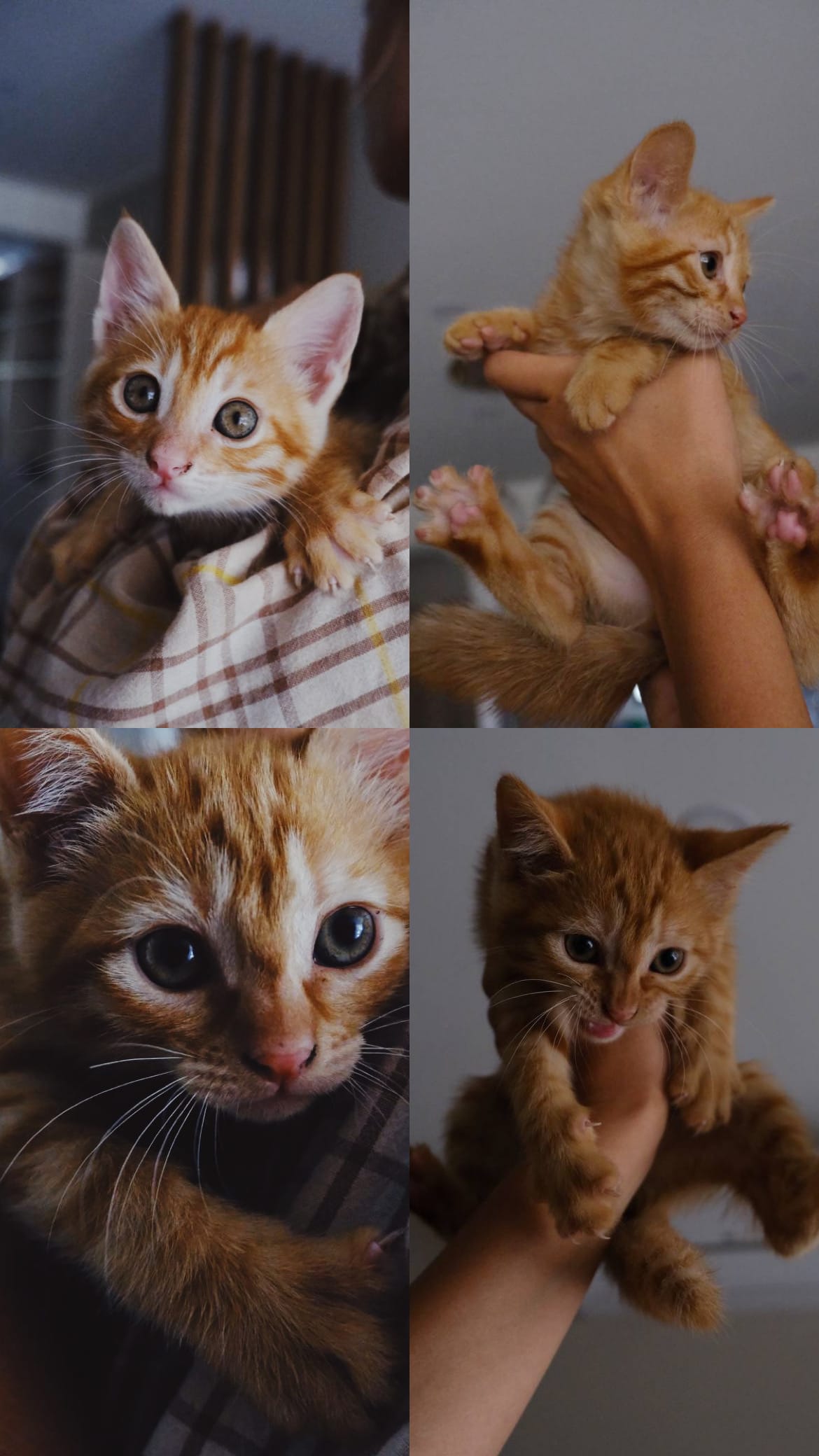 ECD1030B-00A8-4E73-87A5-5F1EB0FF6640