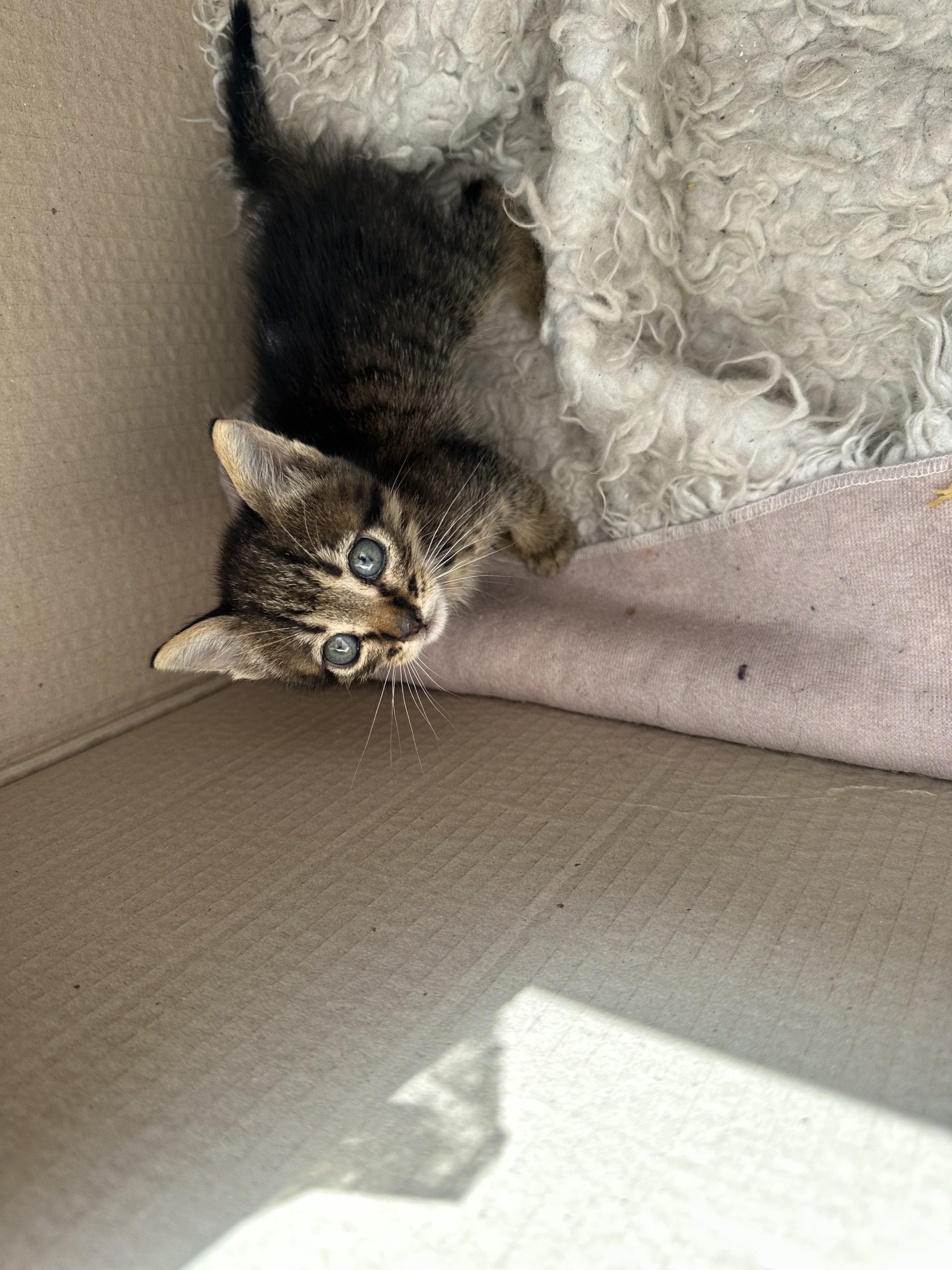 FA3F810B-39B4-4AD6-A500-BD5B77FFE526