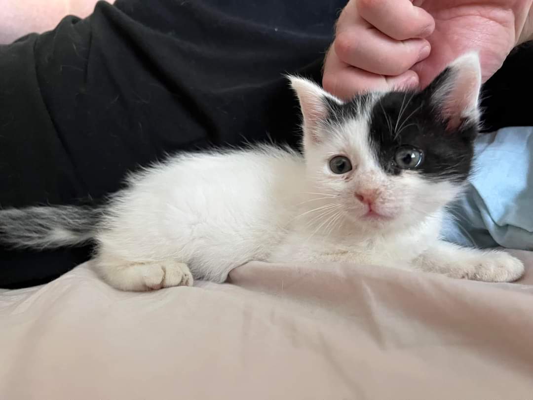 FB_IMG_1683649709596