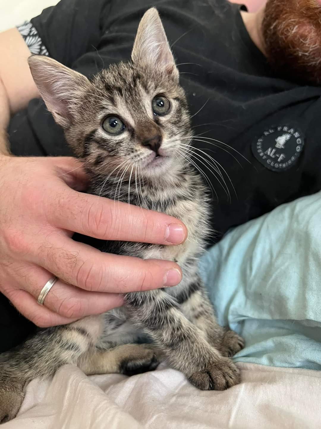 FB_IMG_1683649712169