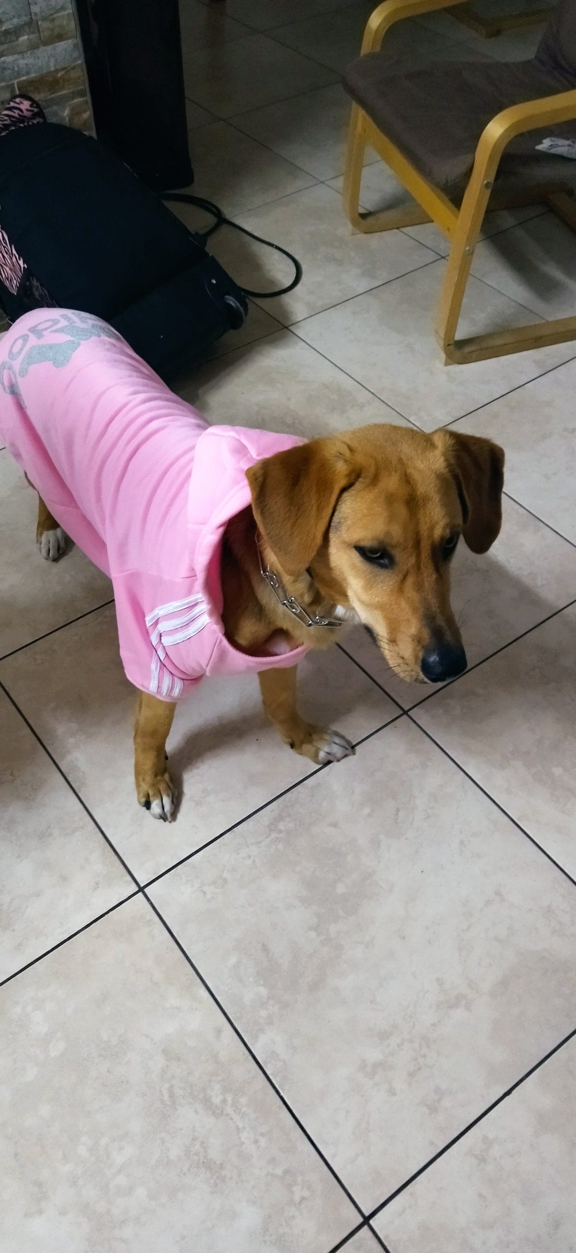 IMG_20211213_192535_Original