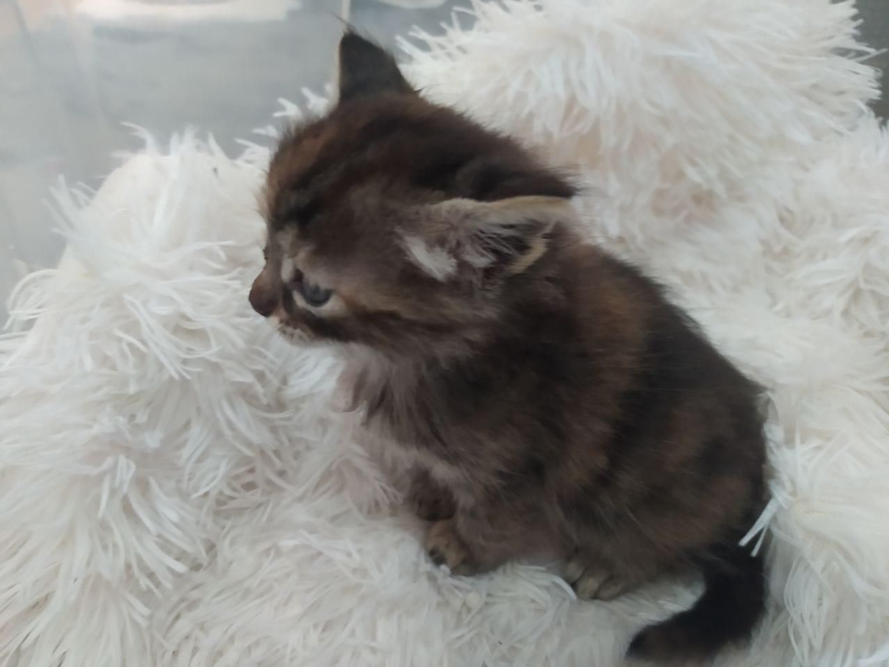 photo_2023-05-03_16-36-01