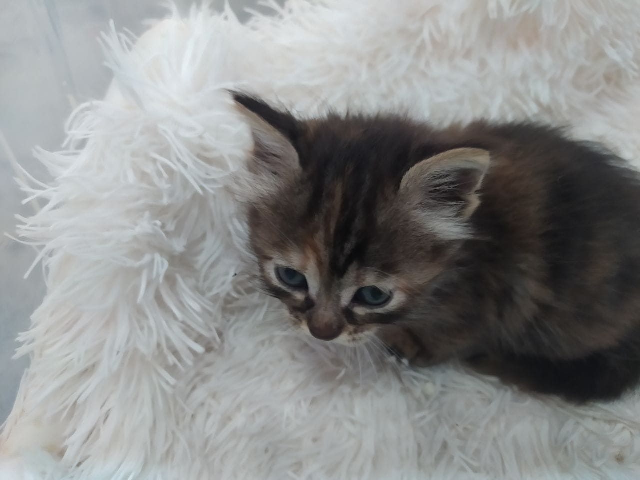 photo_2023-05-03_16-36-17