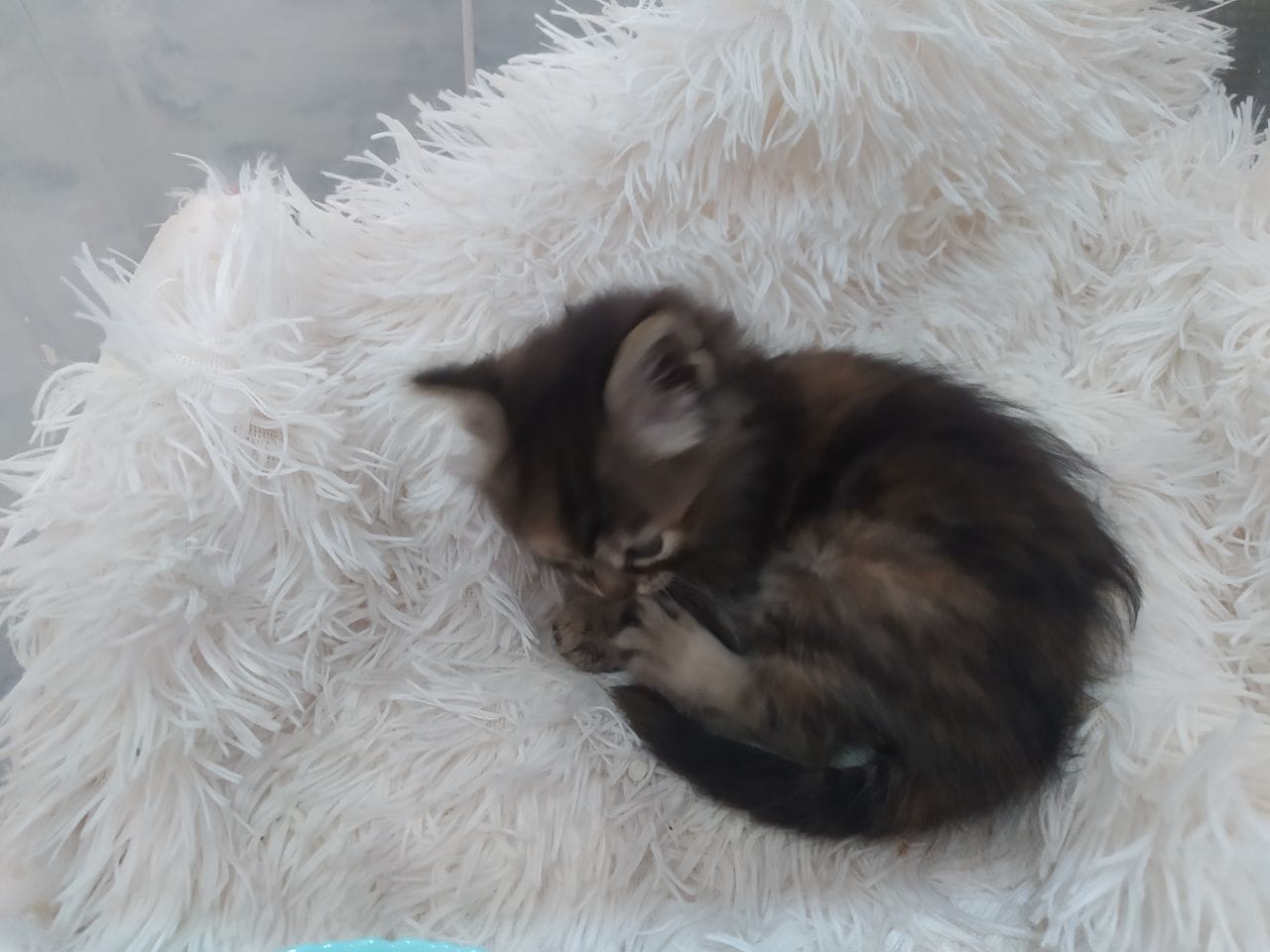 photo_2023-05-03_16-36-21