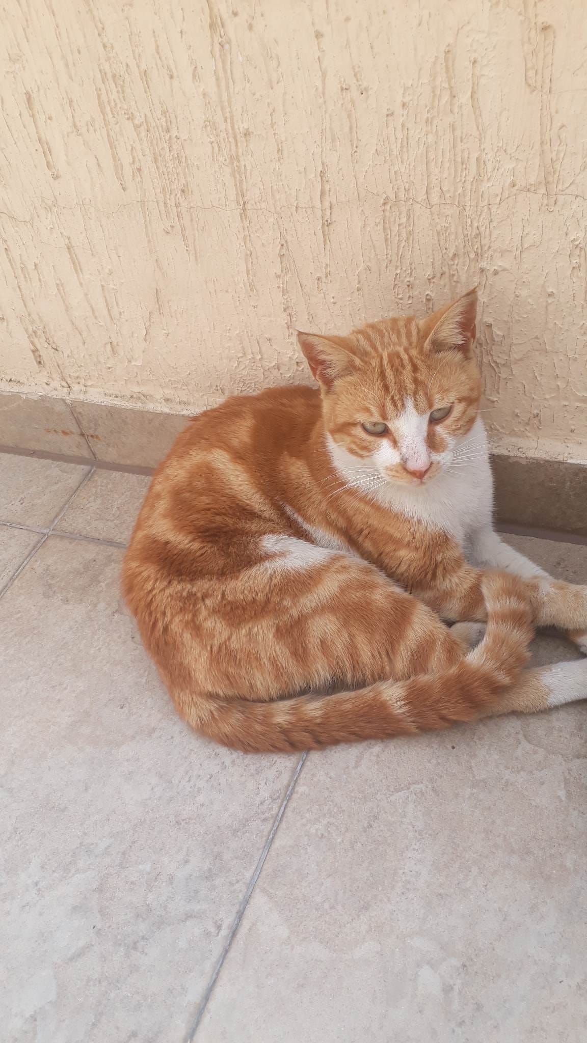 received_1613663075782256