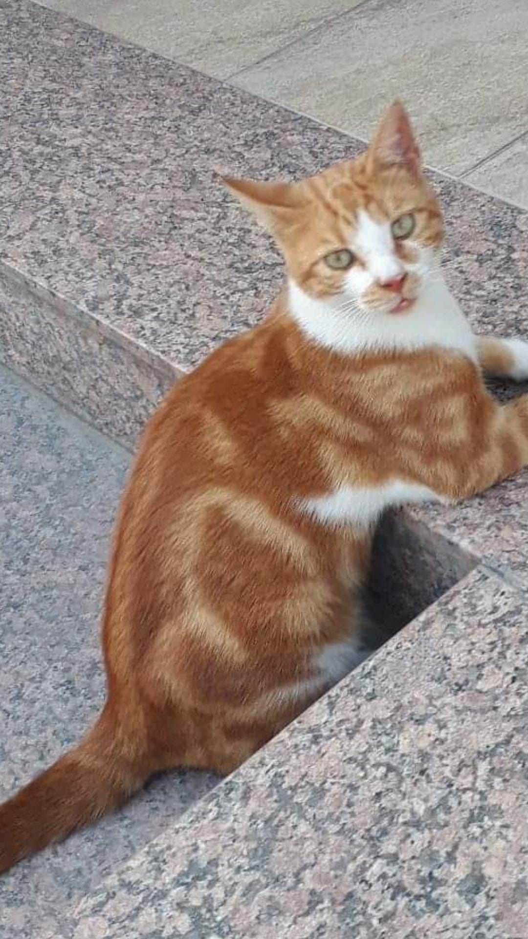 received_635671795089426