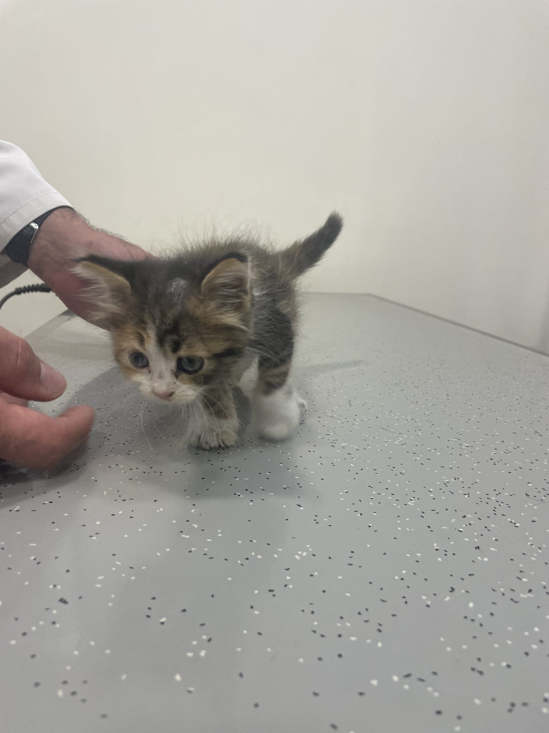 0CC0563B-B54F-42EA-9465-612E6A2F31BD