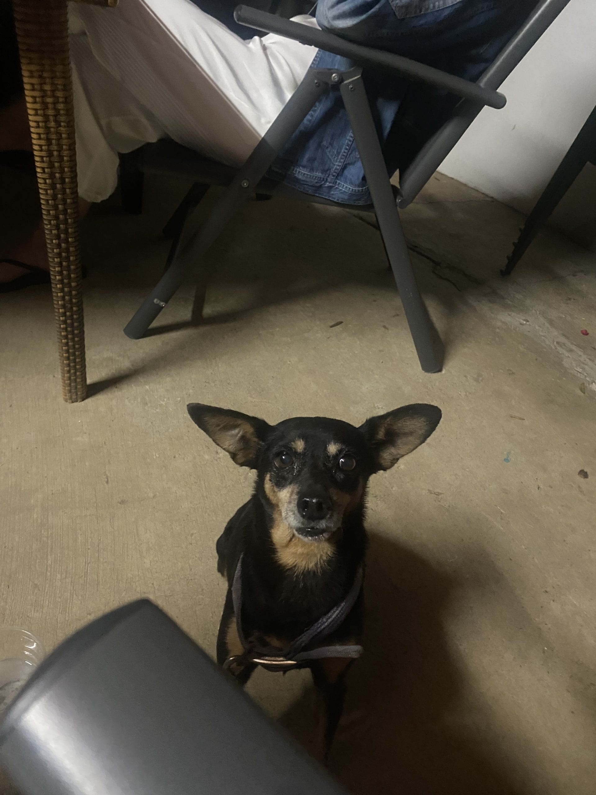 0EA9E7F7-A5D3-40D7-9E79-270F8B4B9565