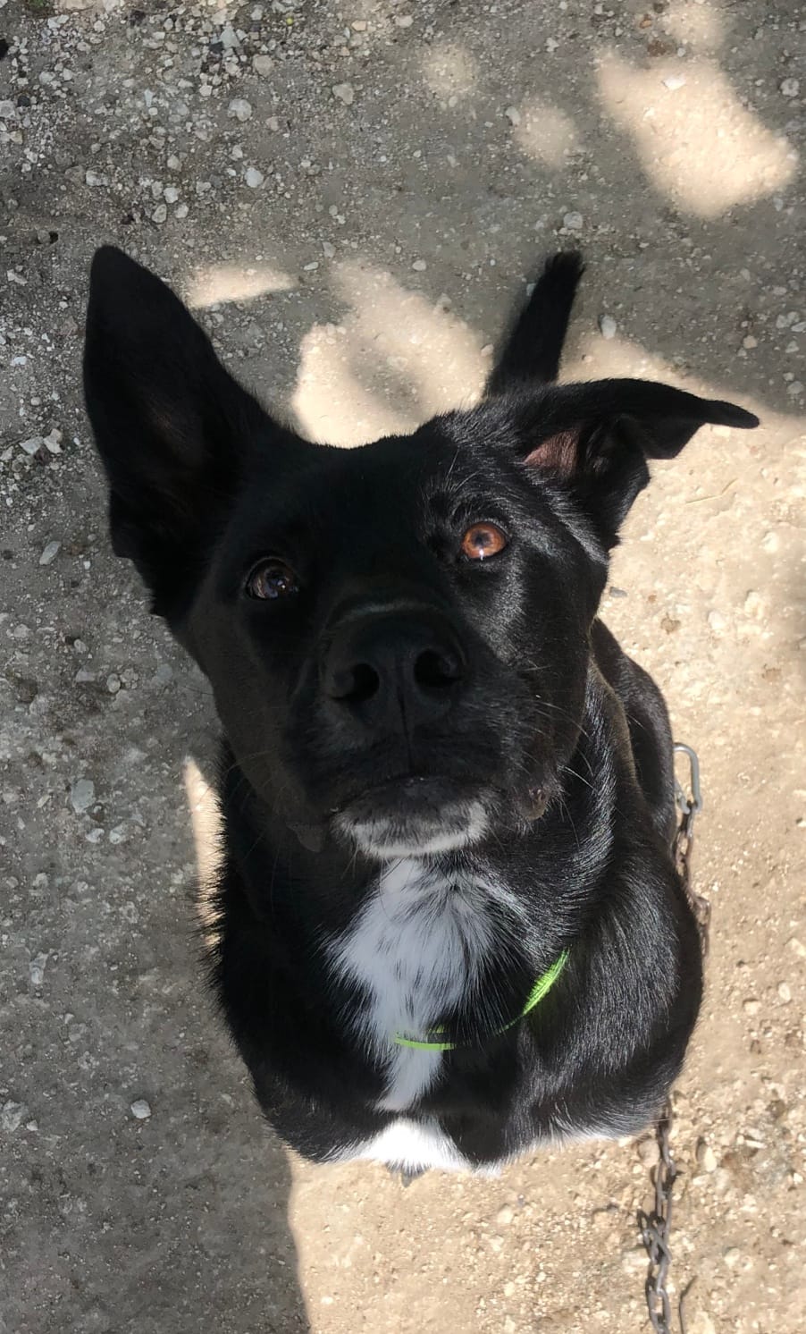 0EE8D2C9-5DF9-4BD0-8949-5B382EA61AC8