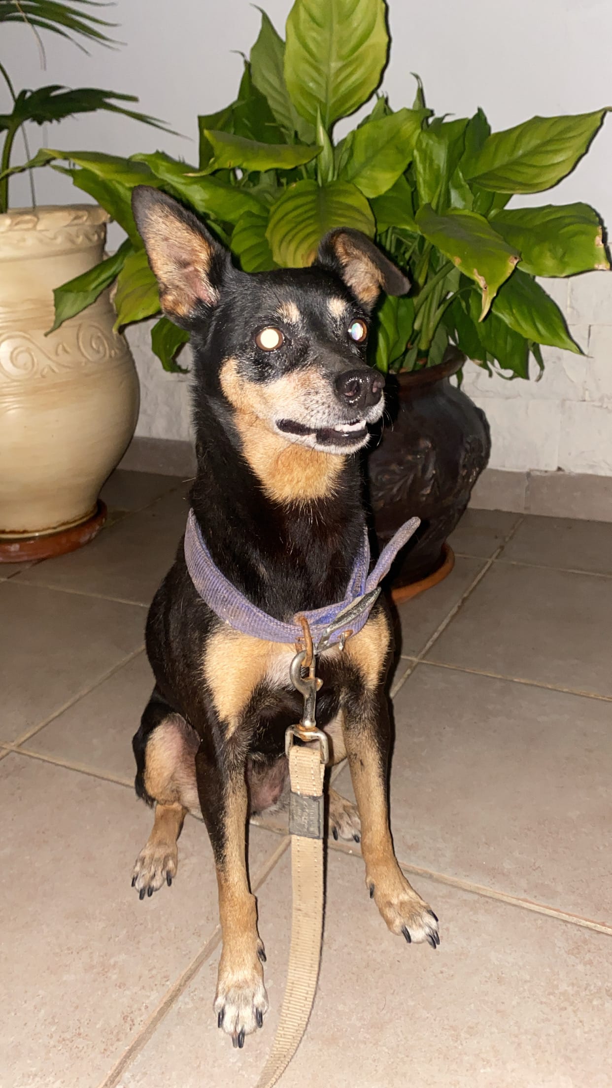 2FE9E06E-A589-49C8-9C82-D25A5F614064