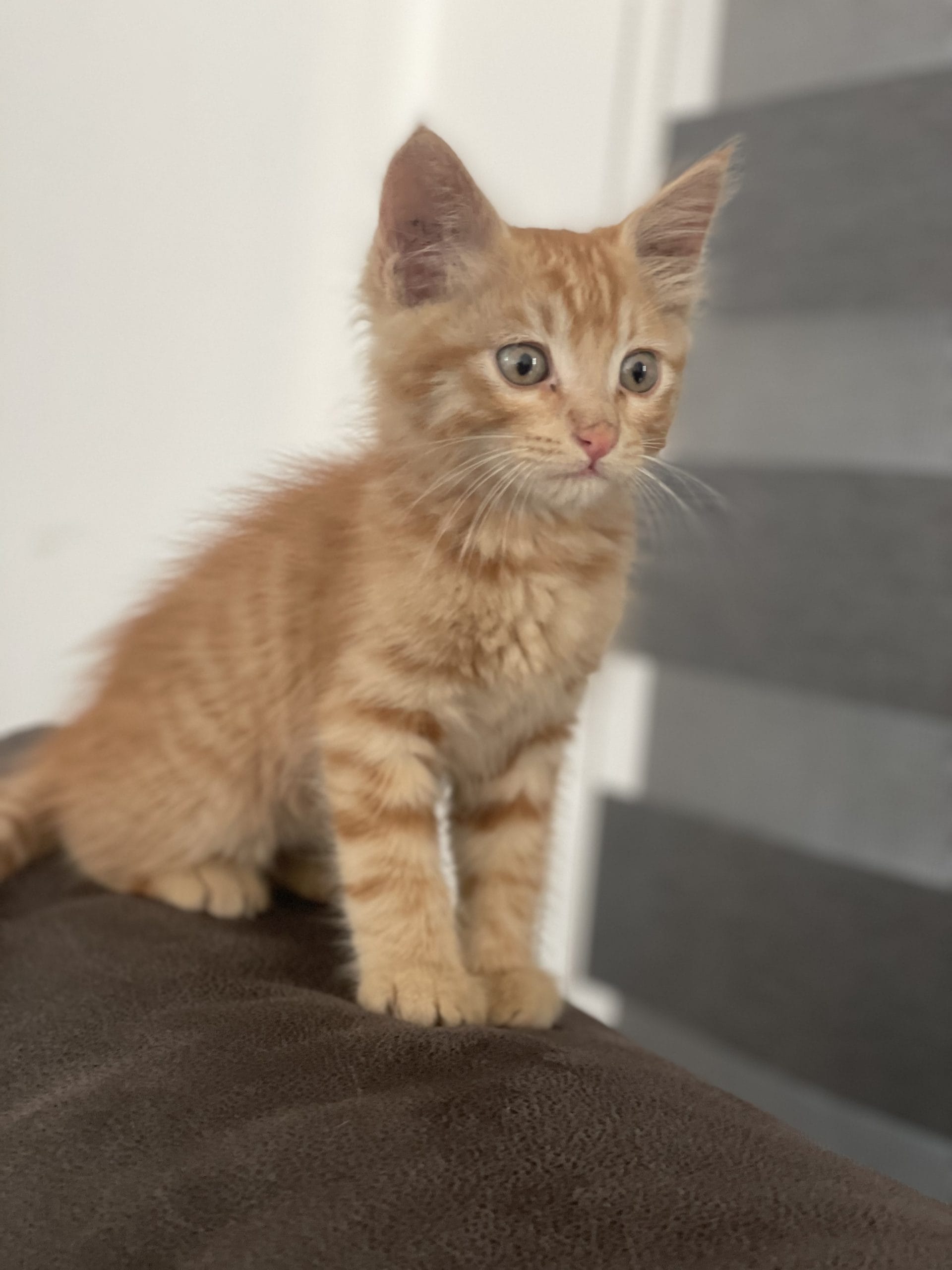 3766BE33-D8EC-4912-924C-395A88F2FFE9