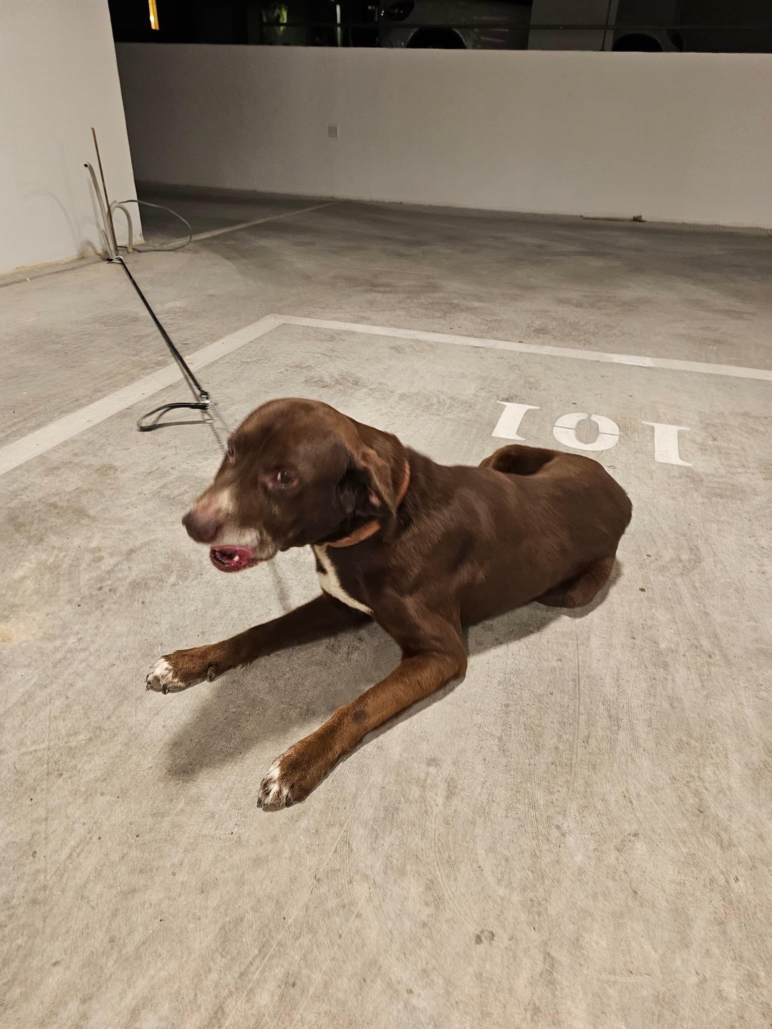 400B9484-0098-4895-8A4E-0AAFB4EFFAAA