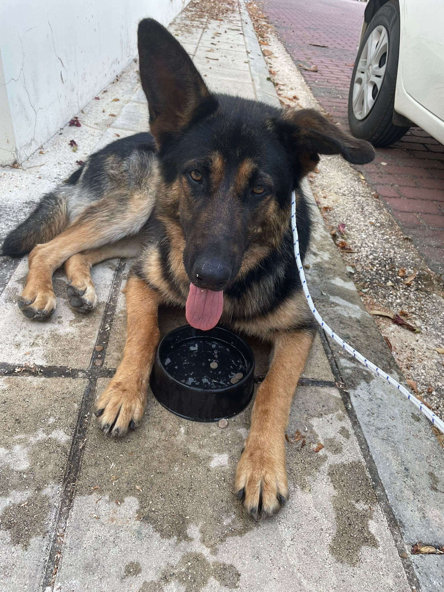 4CCCCEEC-04CF-4ADD-840A-3C1D0E67DB56