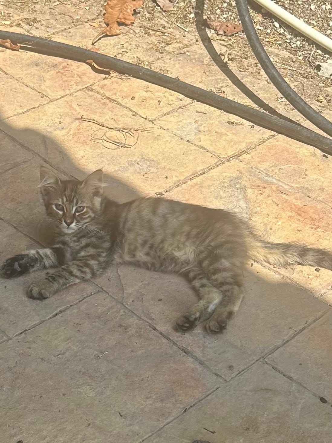 661CCC74-7A70-45F7-A6B1-304D5C278247