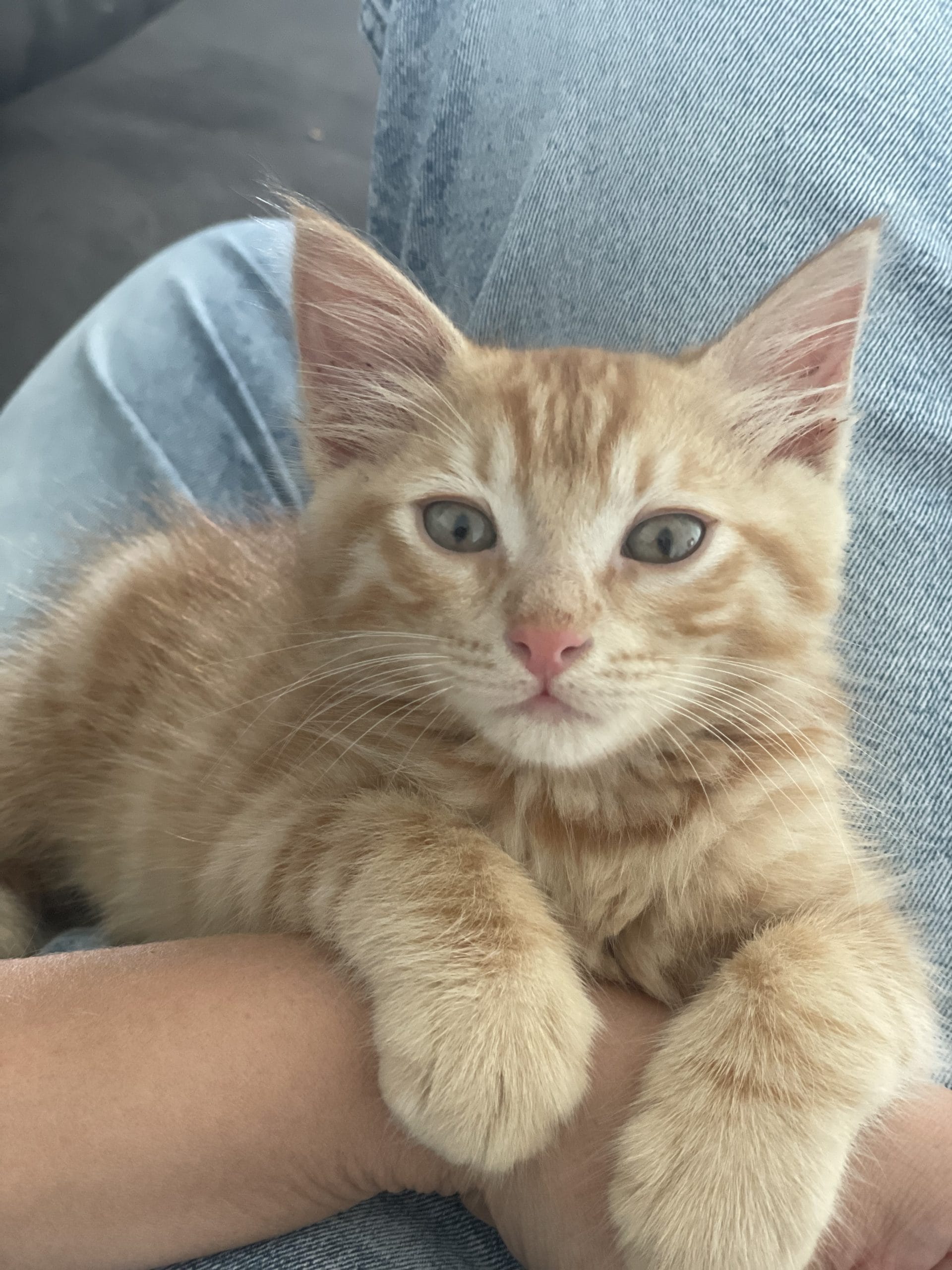 A1329CC5-C650-4251-A3BC-ED3839858F91-1