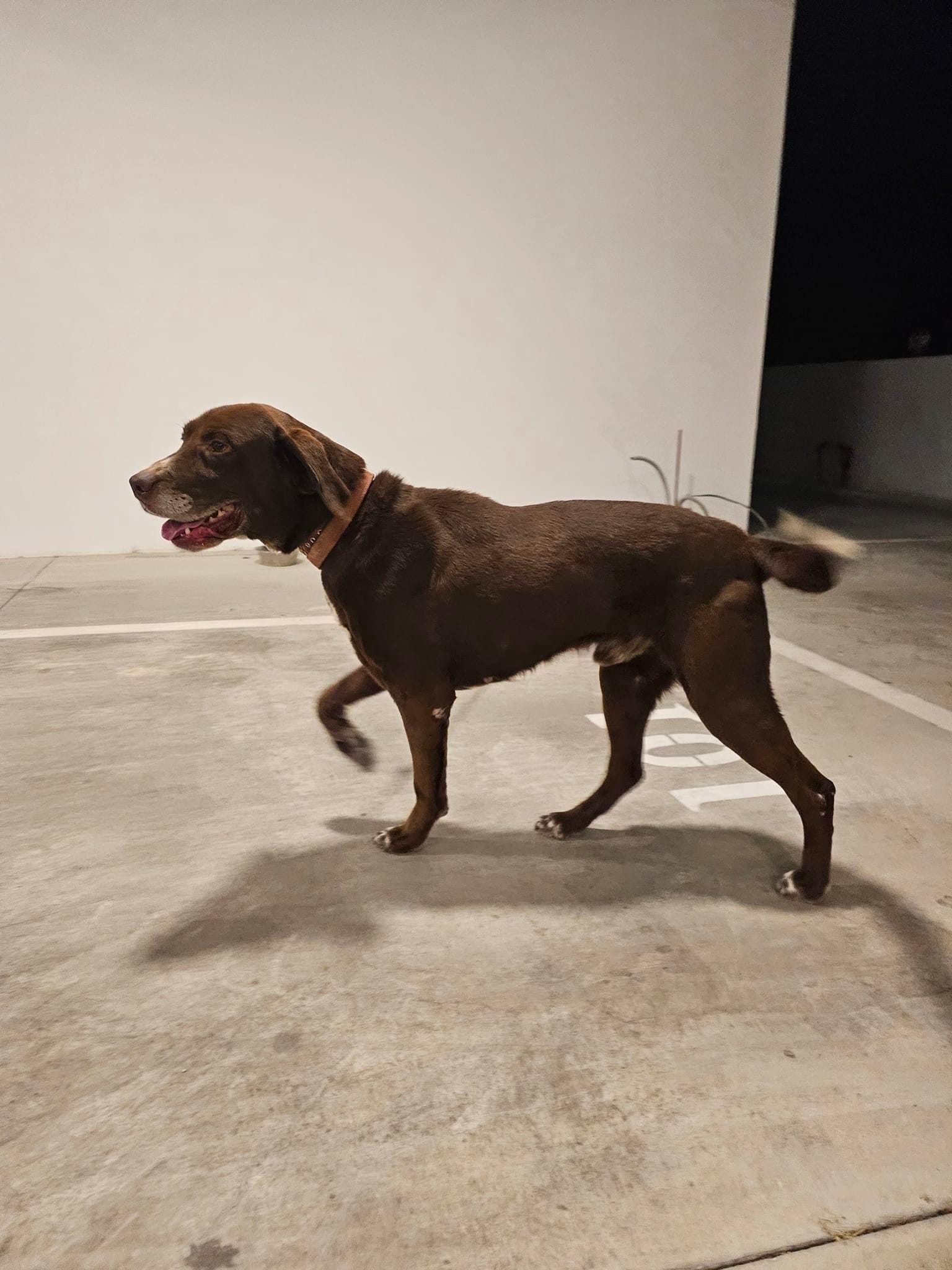 CC5D13E8-FBF4-4BC4-81E4-AB62C2C9B01B