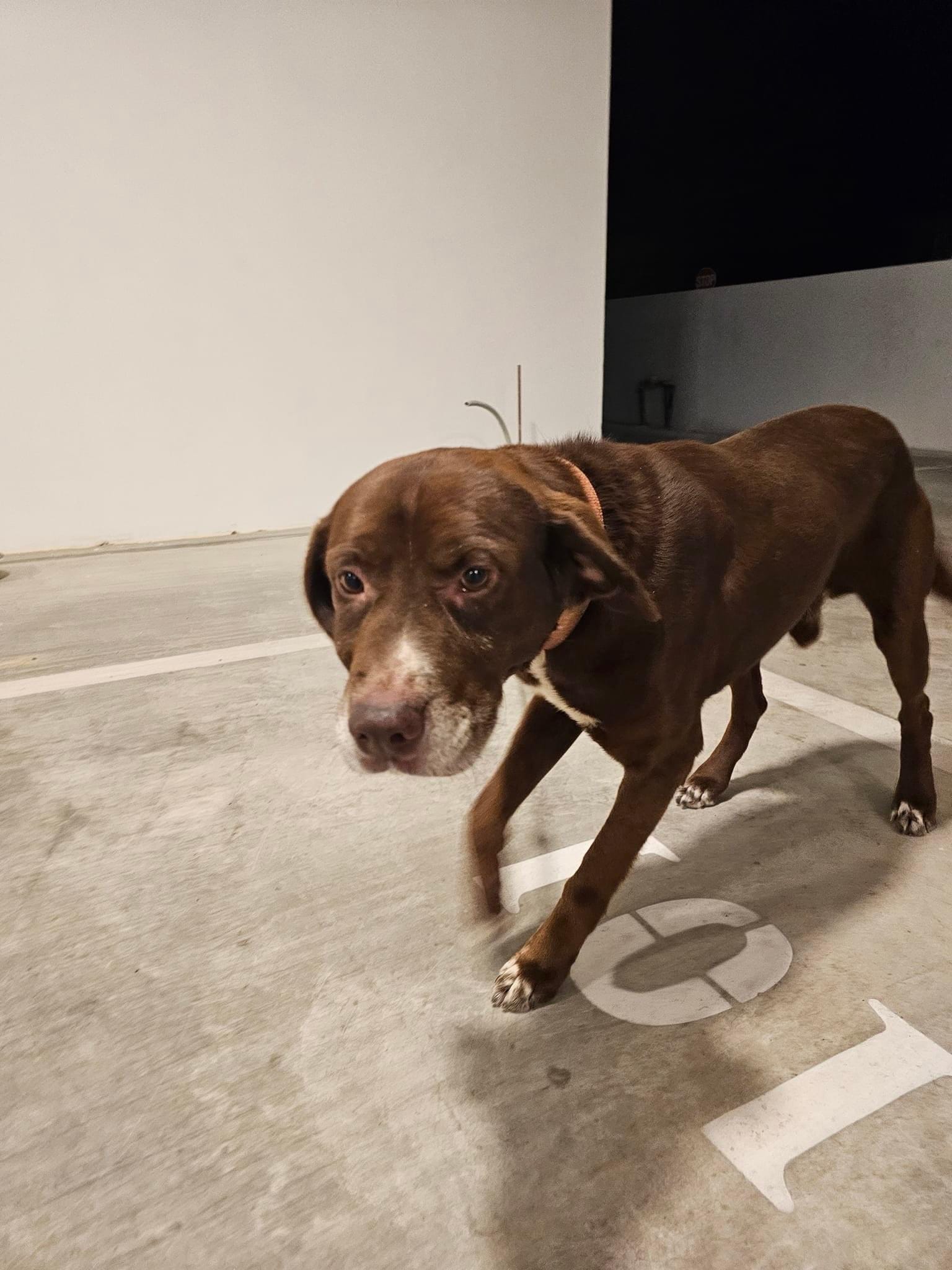 DC7BBC44-0D05-4A88-BC8A-2A717511C224