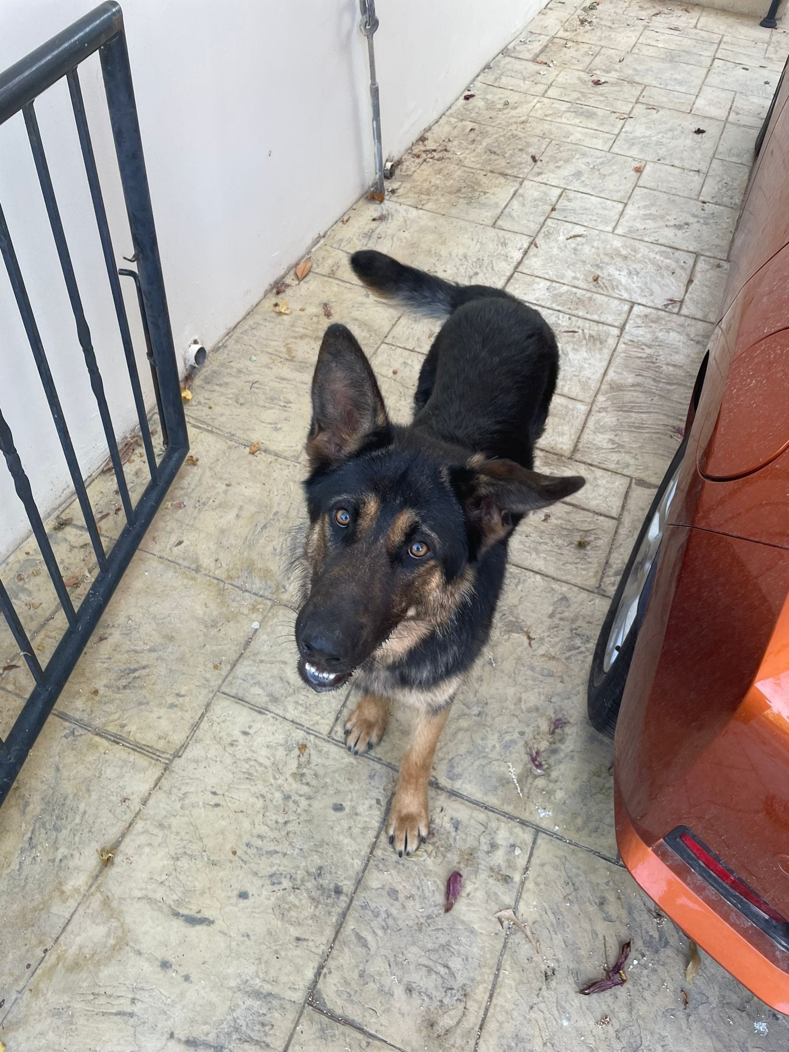 DD9D3E7E-CB47-46F0-8DAE-4EDF3D08B662