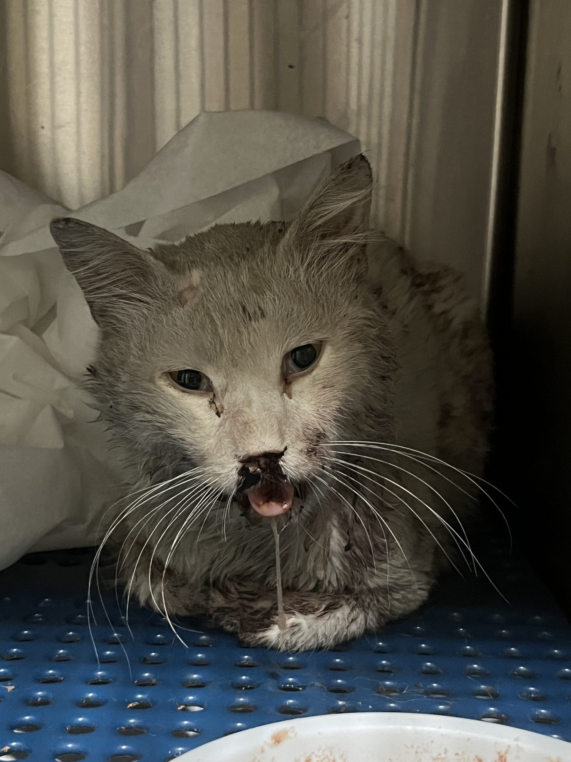 E64EF596-633A-41E9-A01F-92F4711646A7