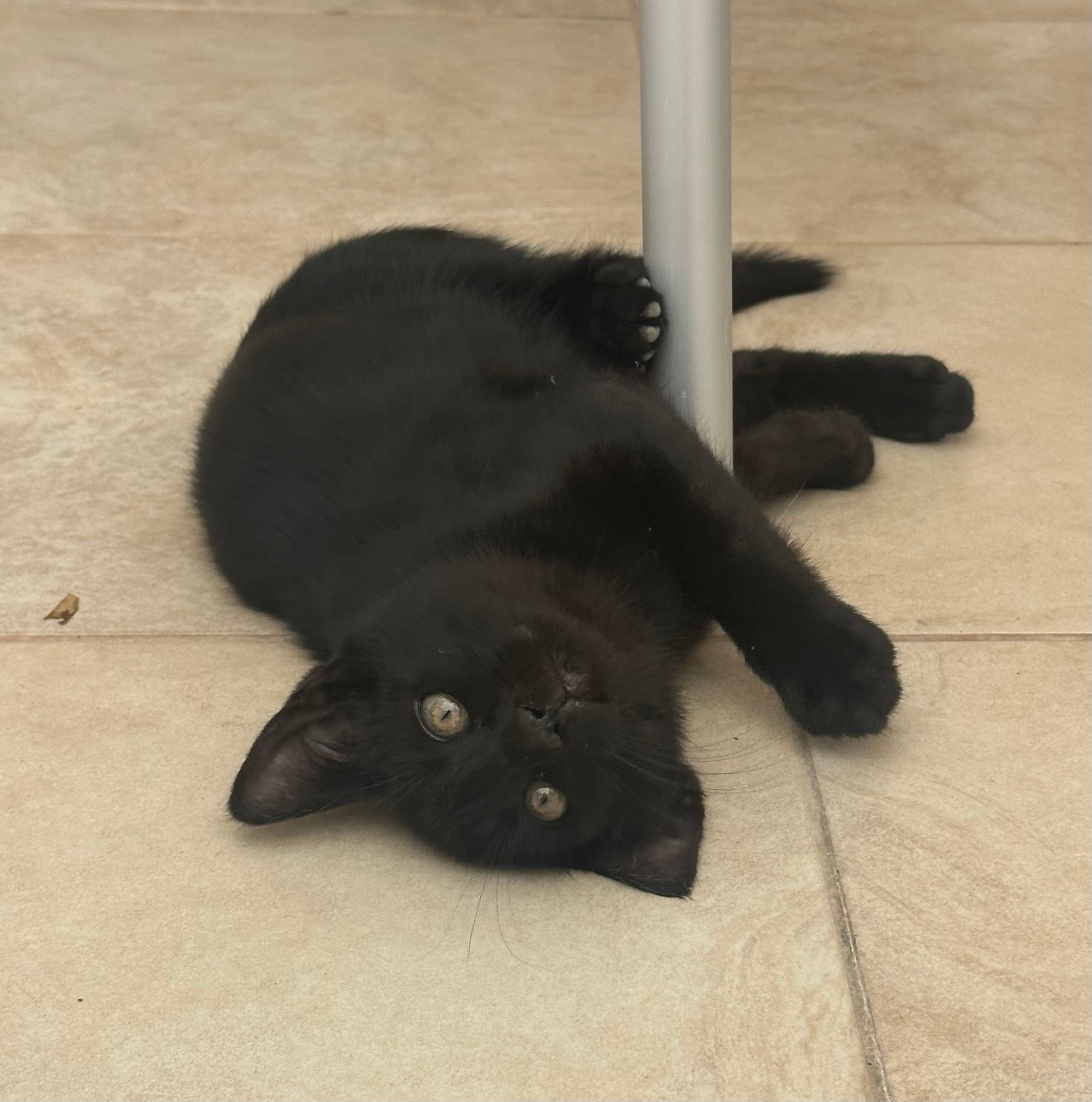 E6D1BA5E-7081-4E6B-BF77-CAA27B9B5BF3